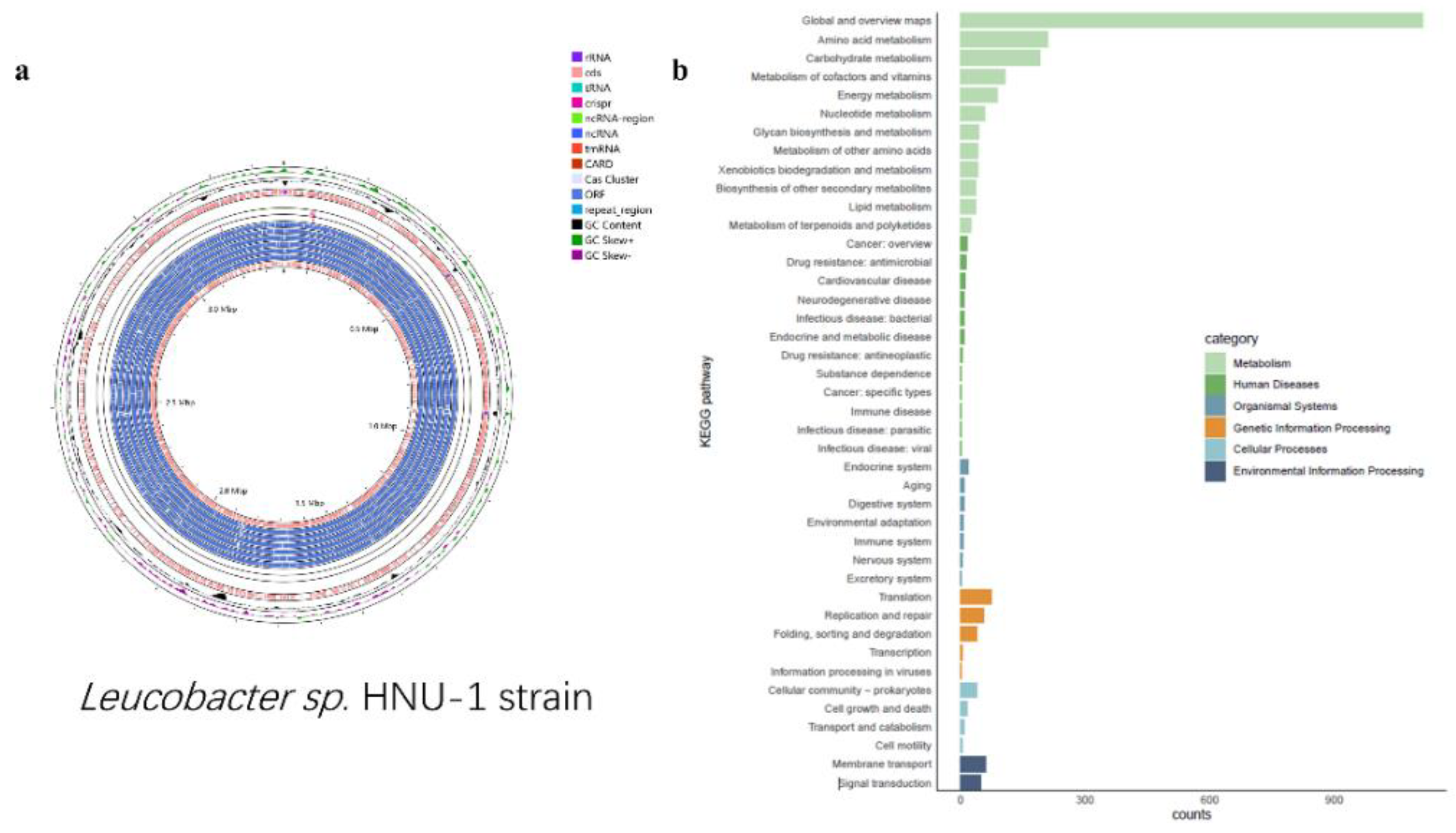 Preprints 152031 g003