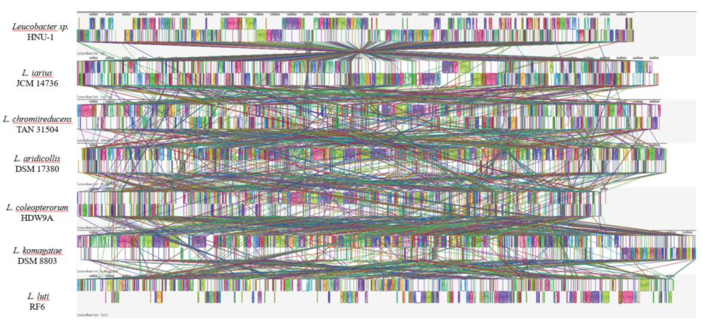 Preprints 152031 g006