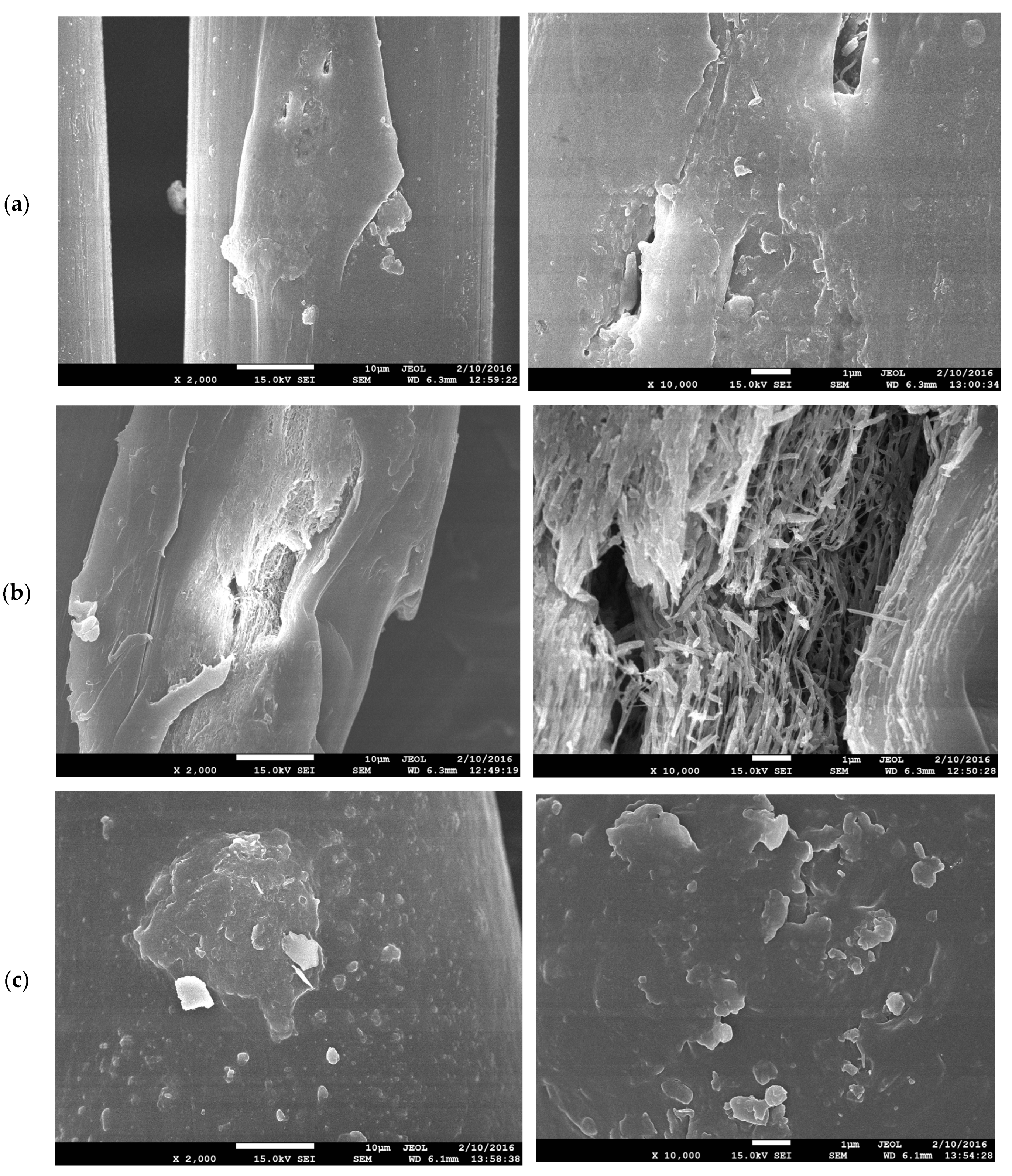 Preprints 85423 g007