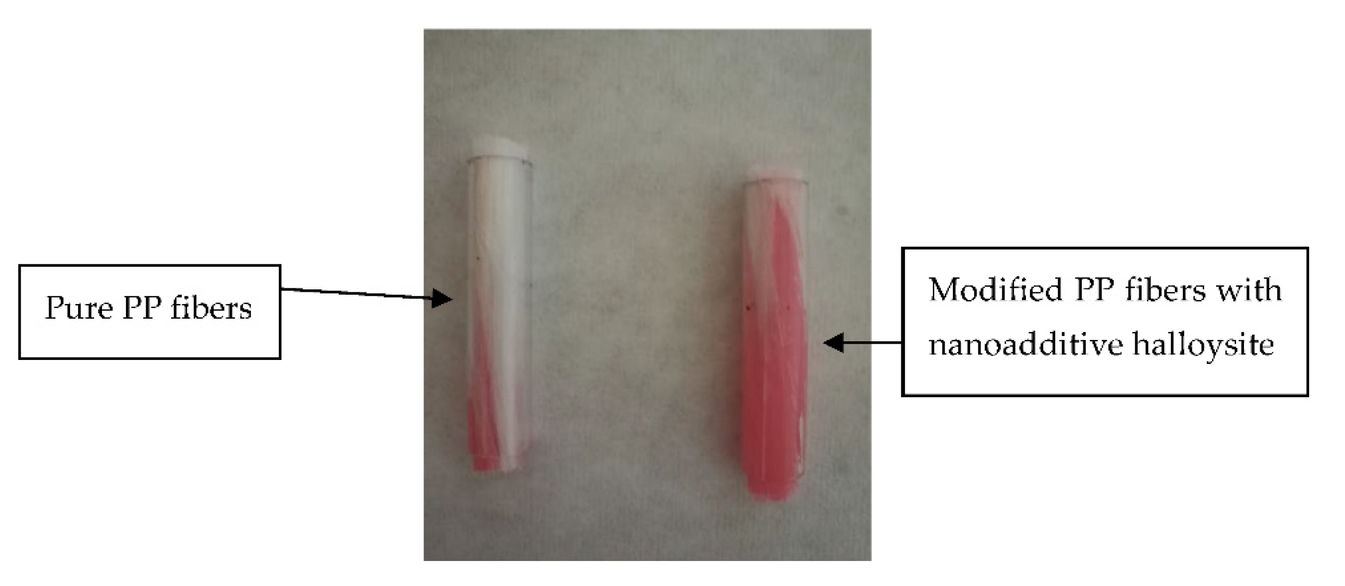 Preprints 85423 g008