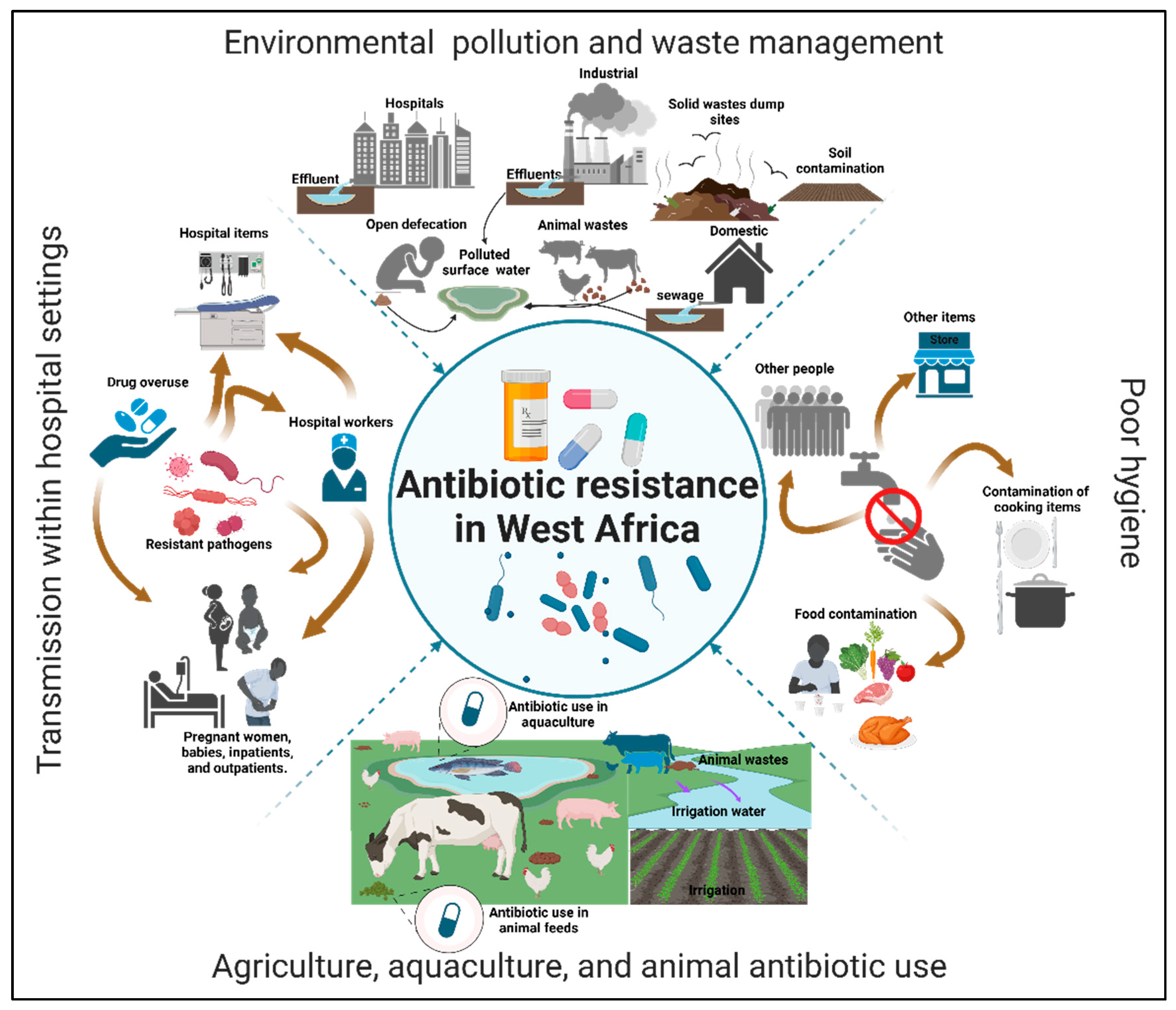Preprints 154055 g005