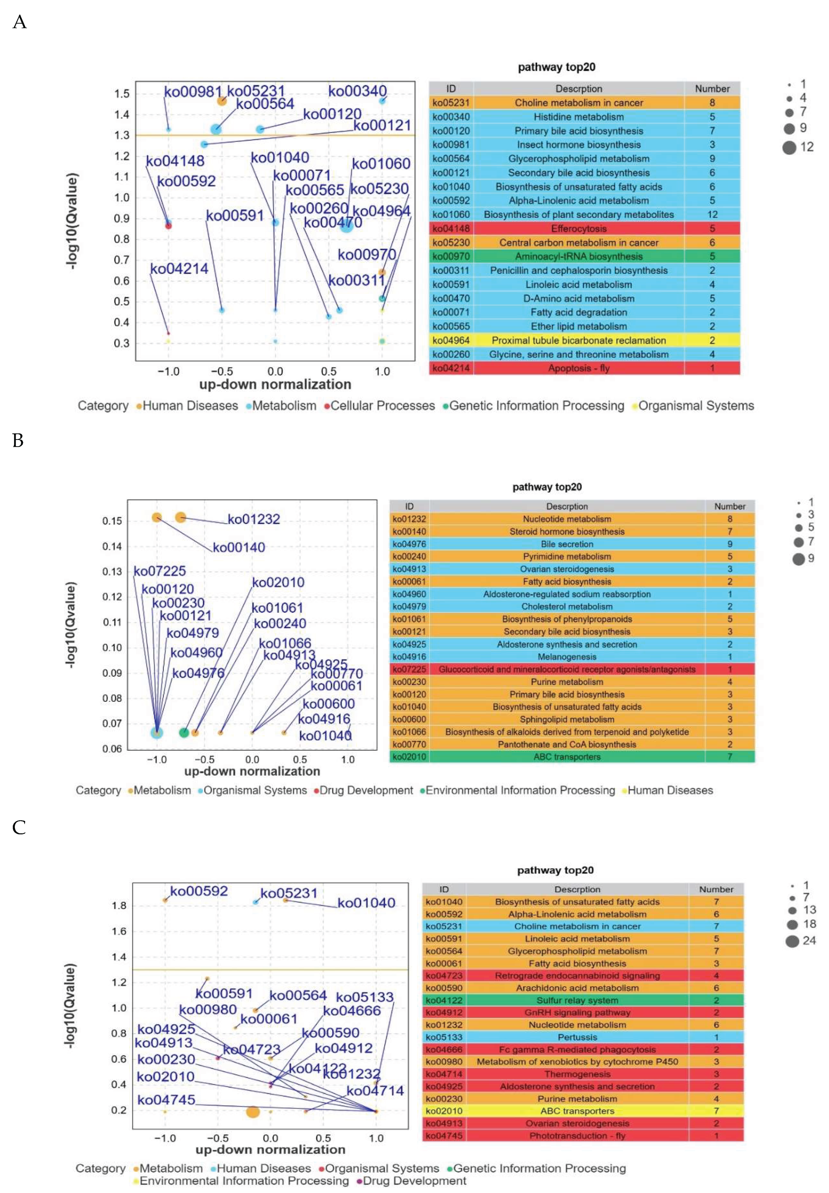 Preprints 202683 g010