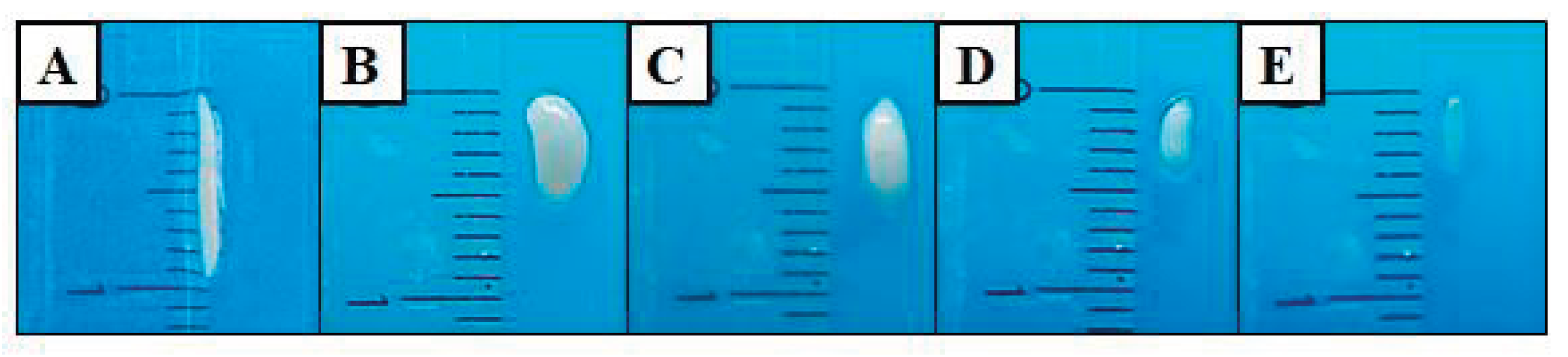 Preprints 166328 g003