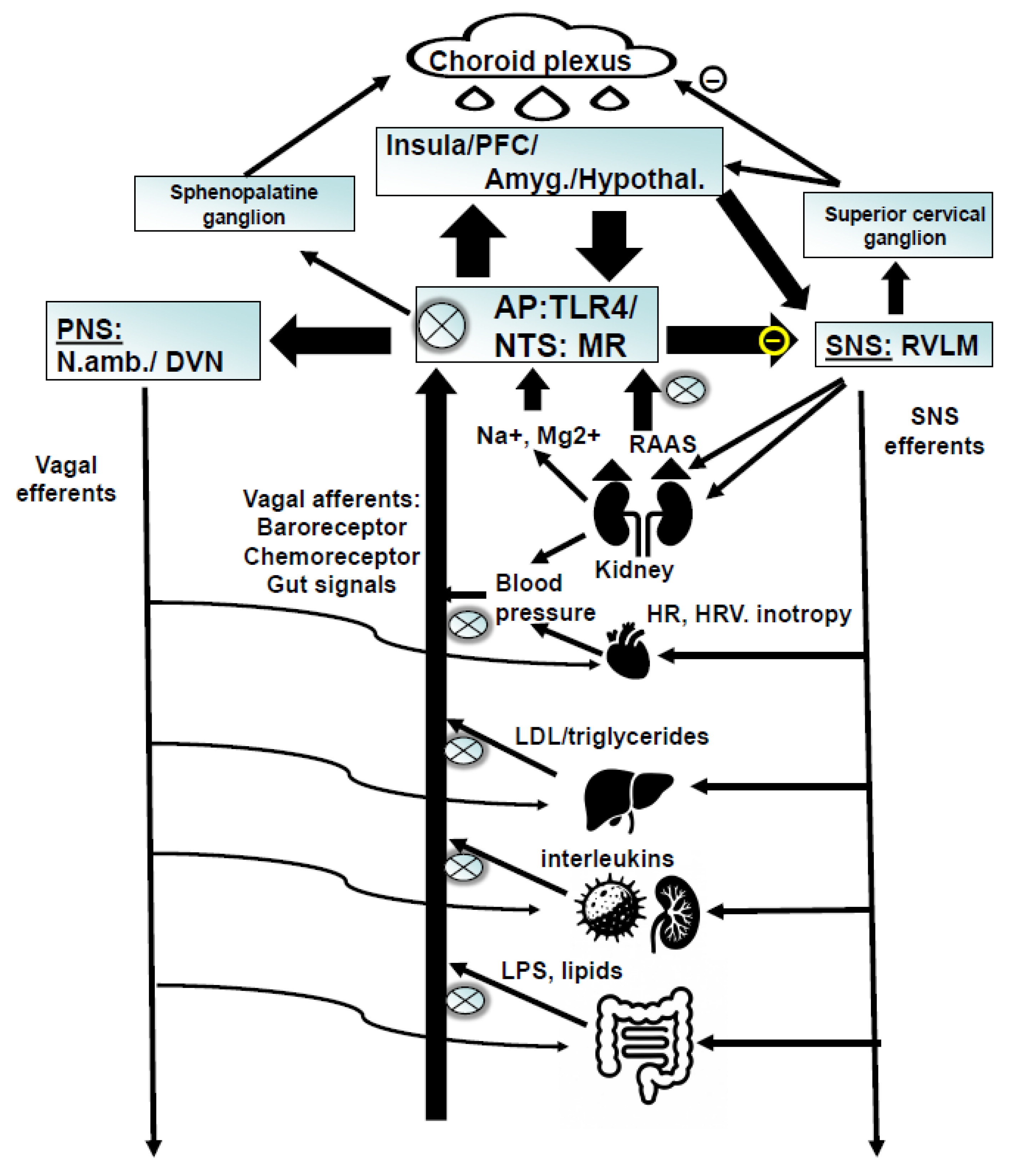 Preprints 174364 g002