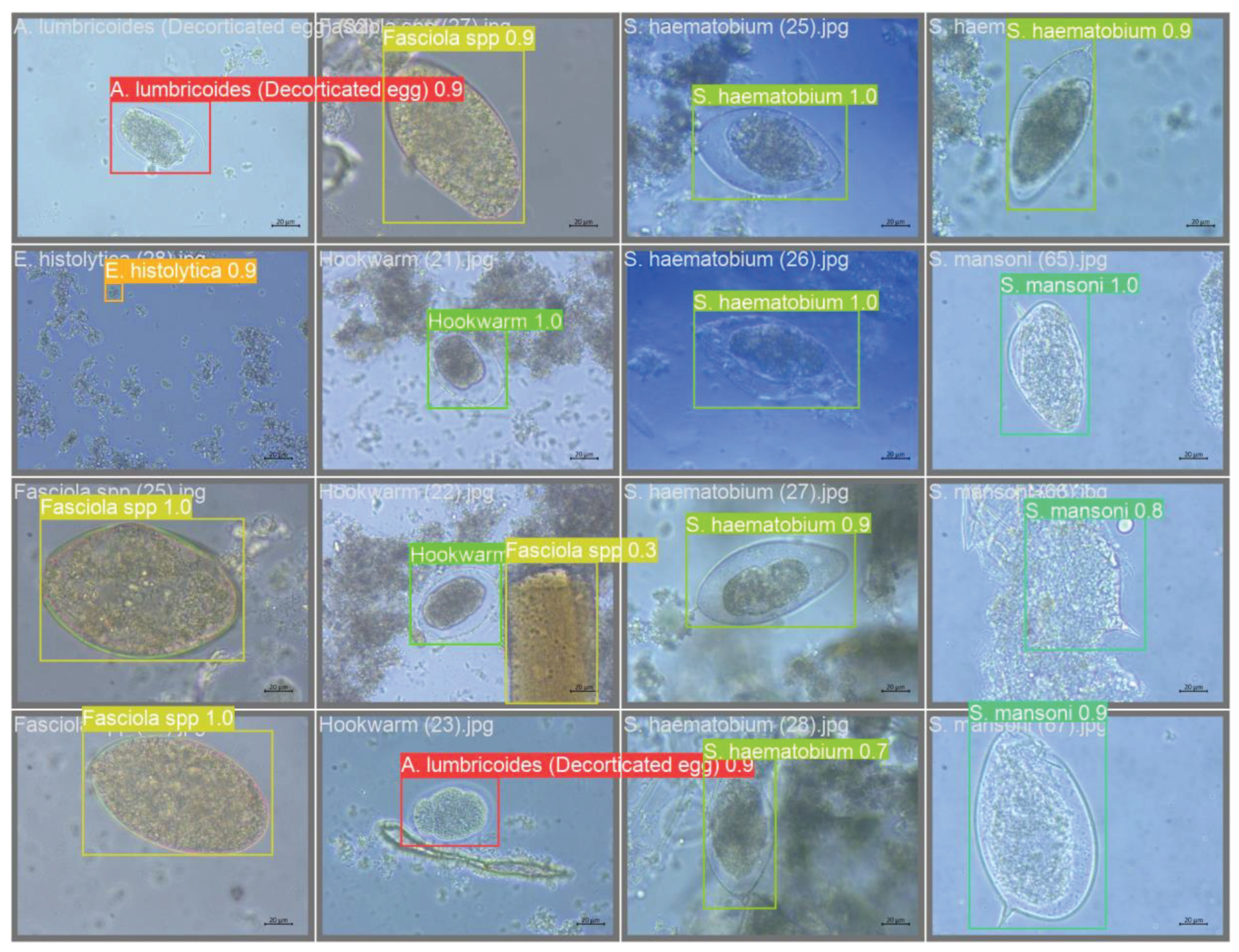 Preprints 98762 g008