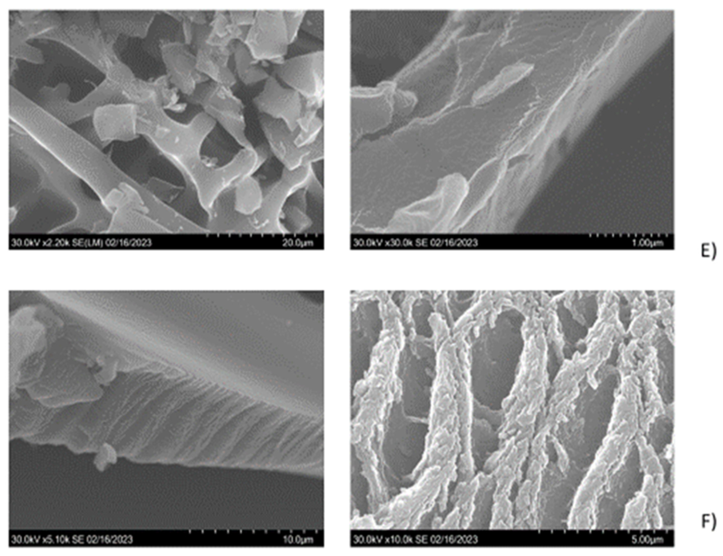 Preprints 148261 g002b