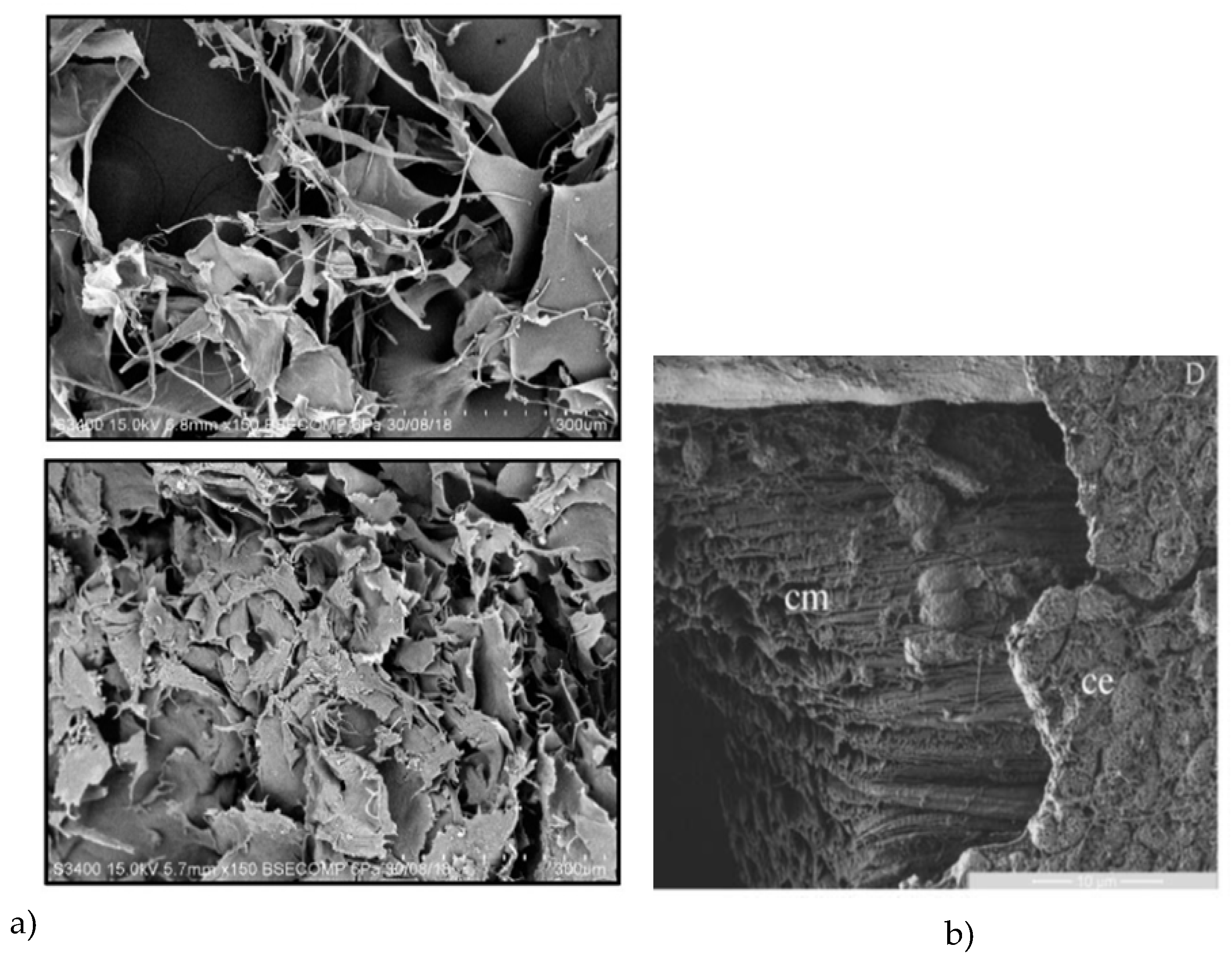 Preprints 148261 g003a