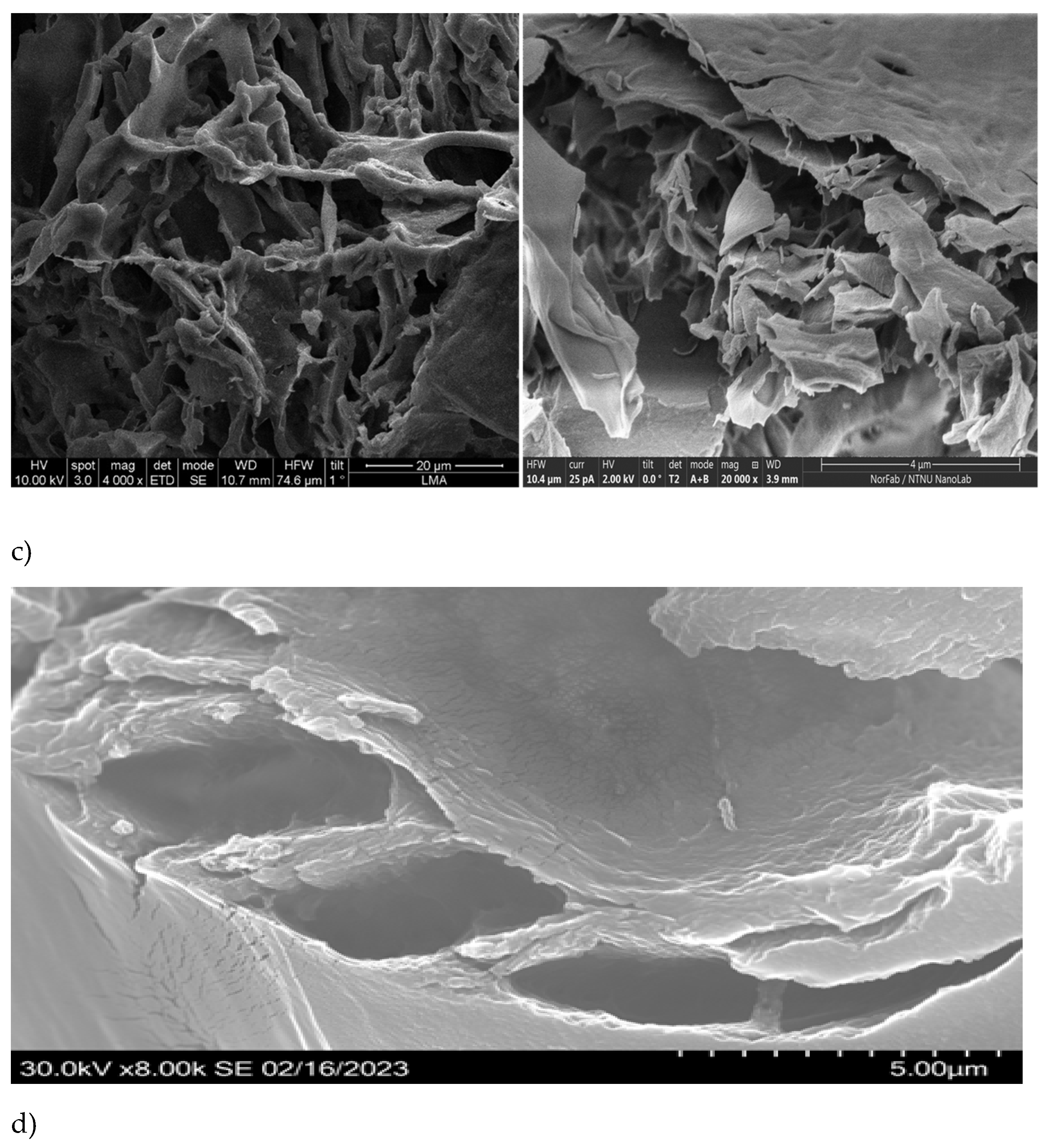 Preprints 148261 g003b
