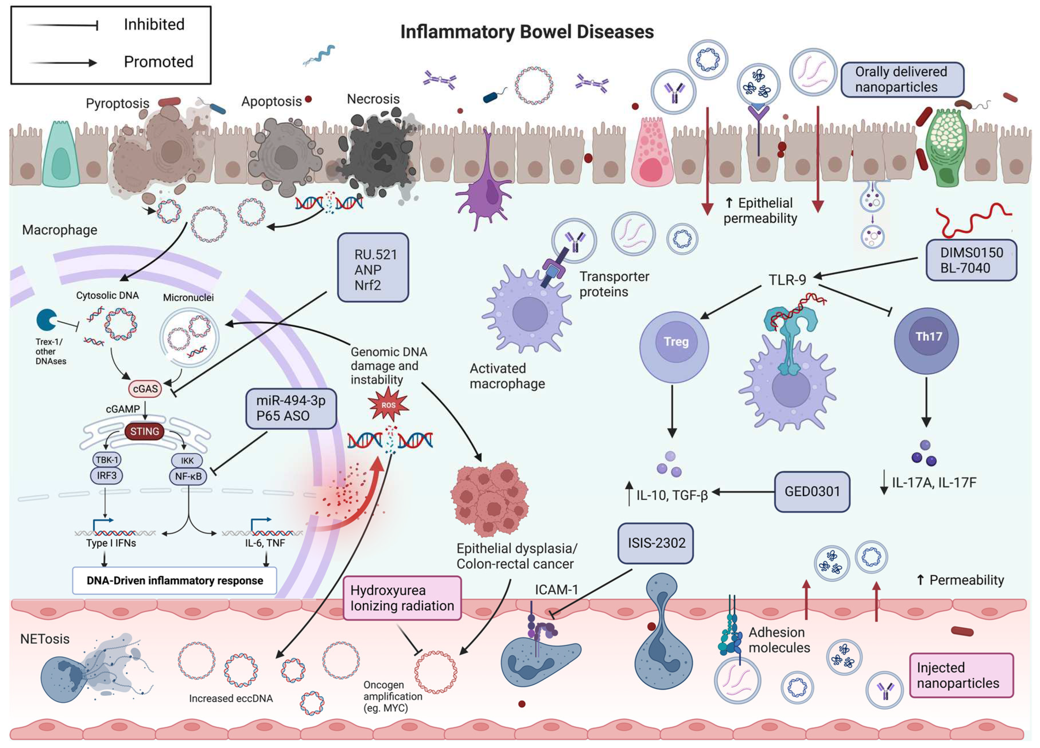 Preprints 77202 g001