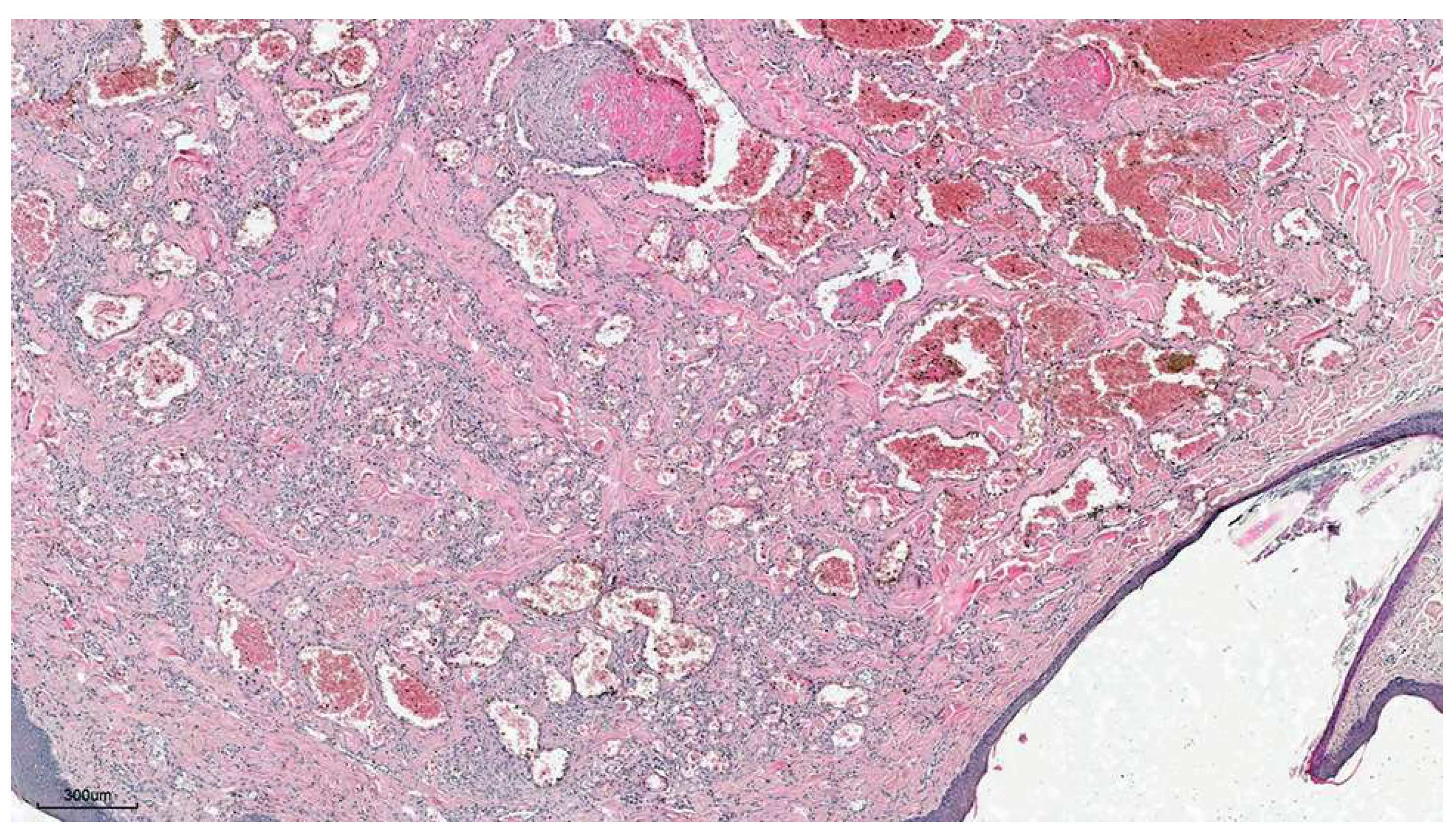 Preprints 158450 g001