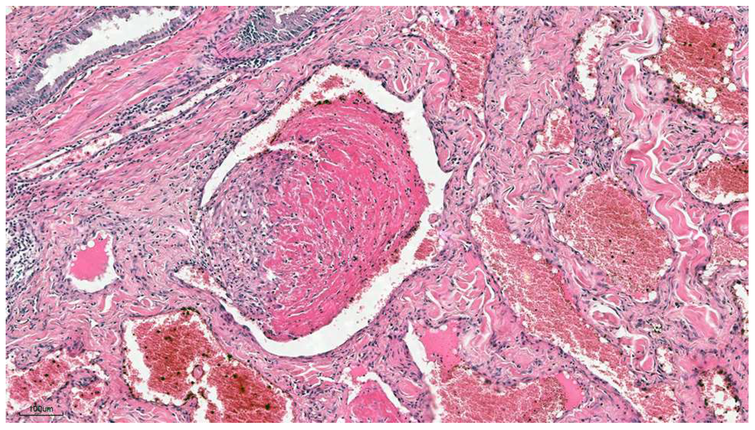 Preprints 158450 g002