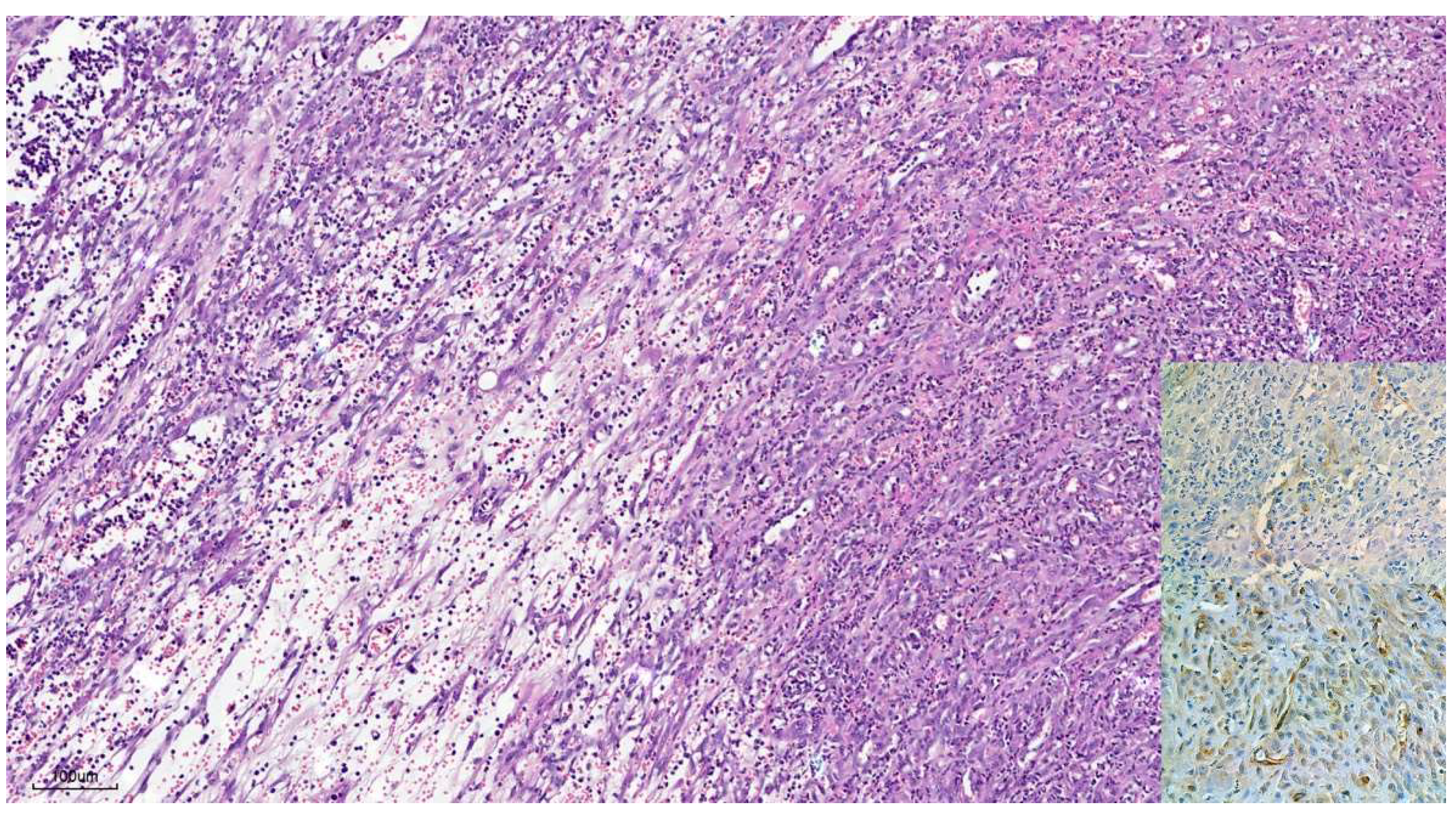 Preprints 158450 g004