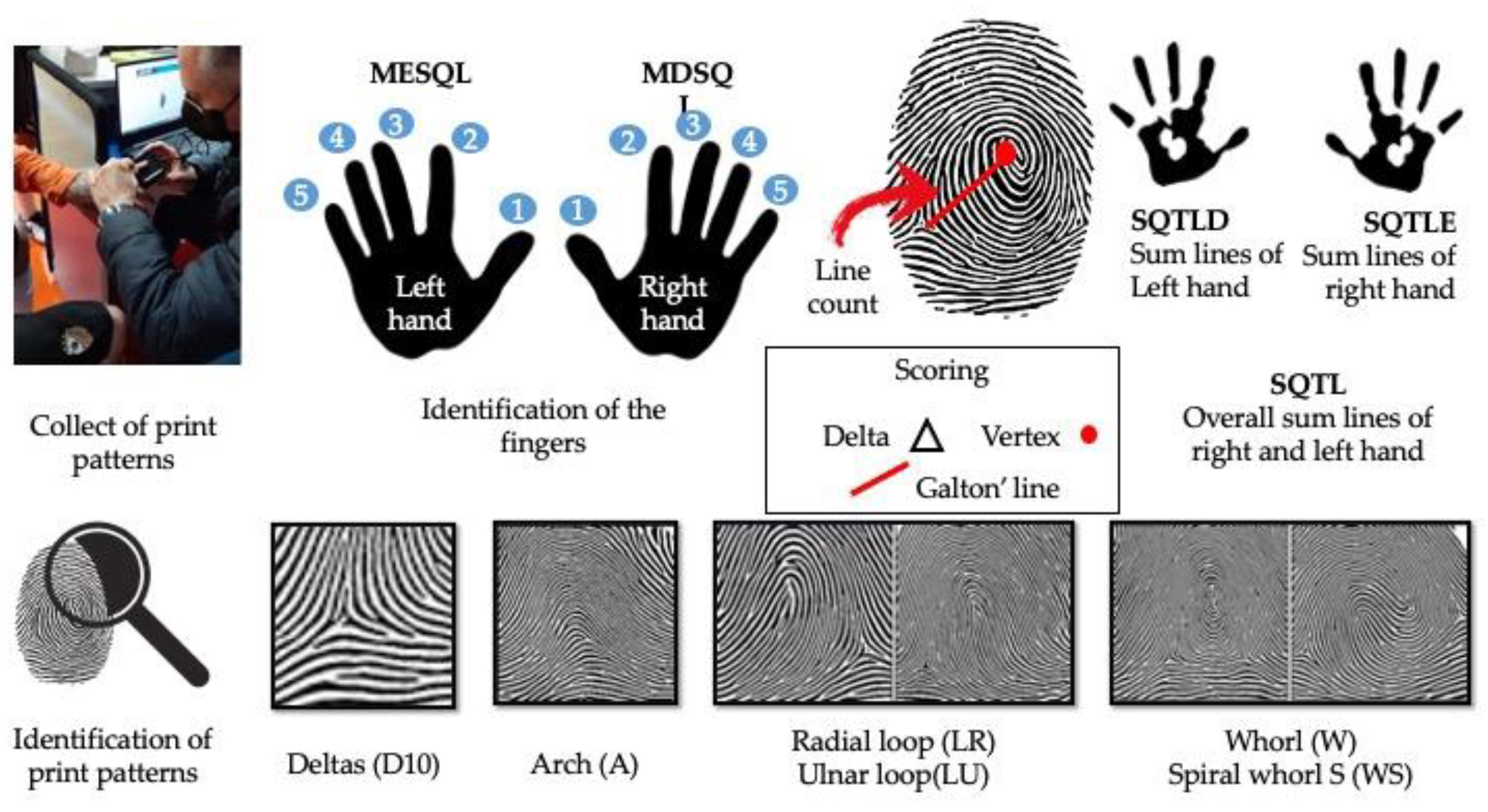 Preprints 173244 g001