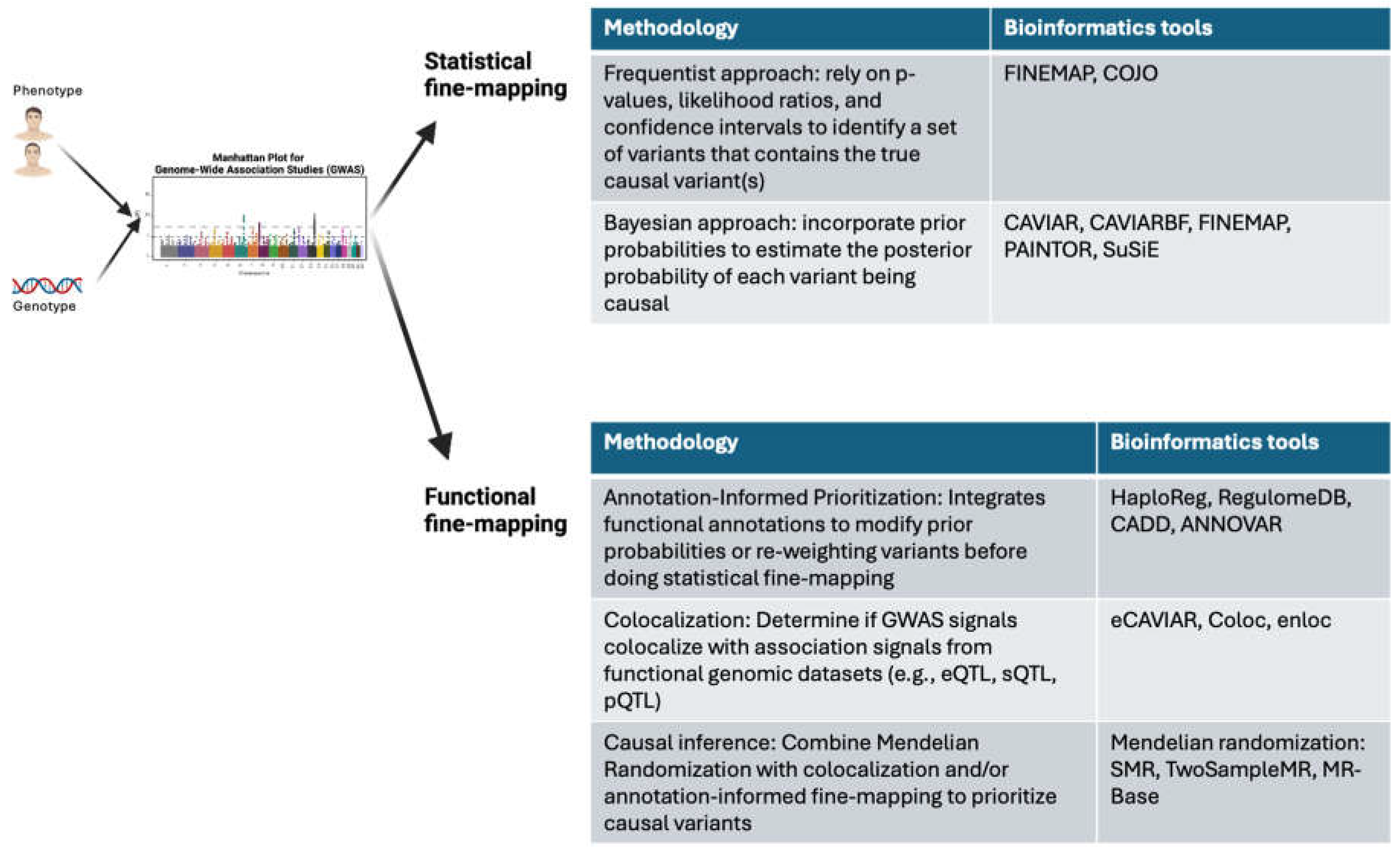 Preprints 153197 g001
