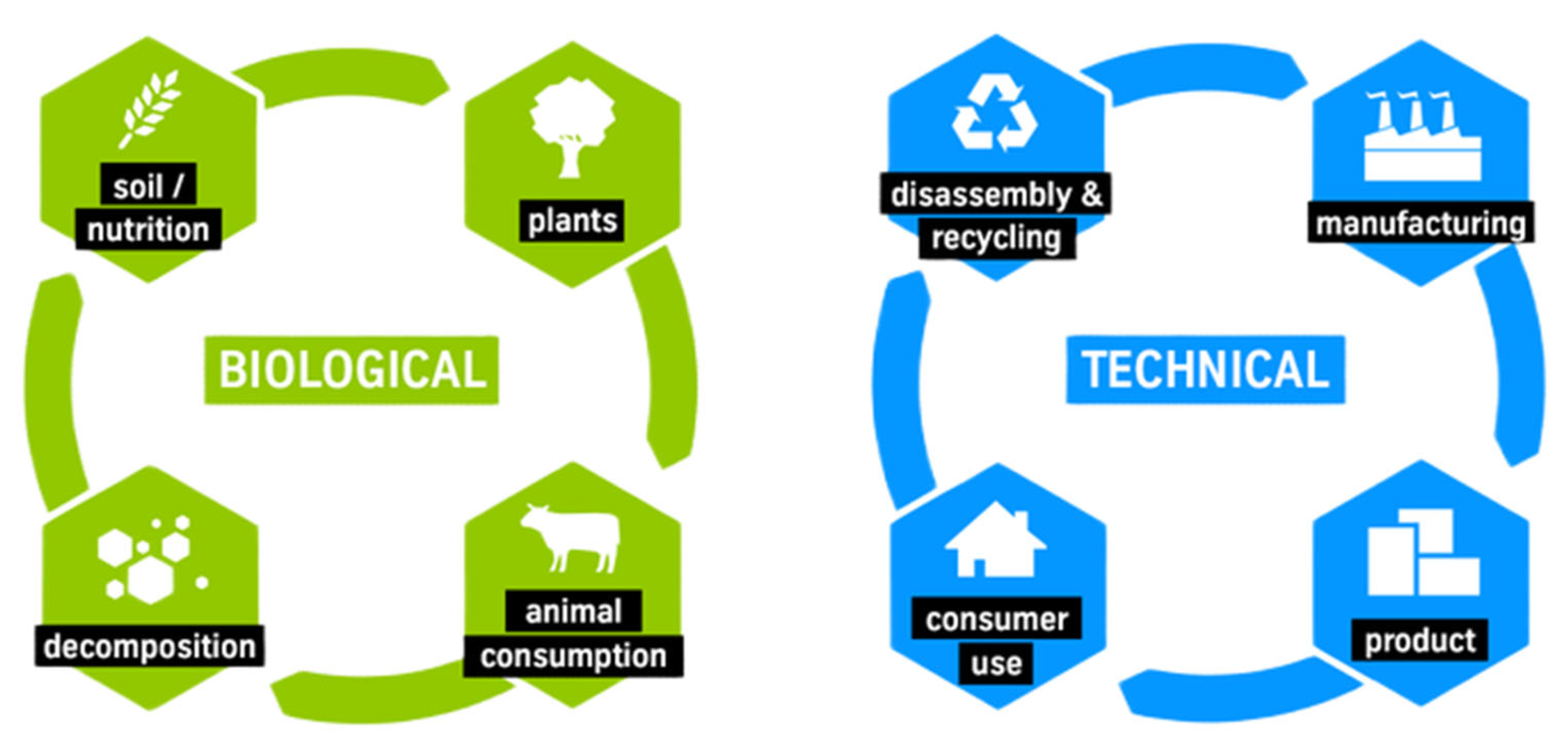 Preprints 189782 g005
