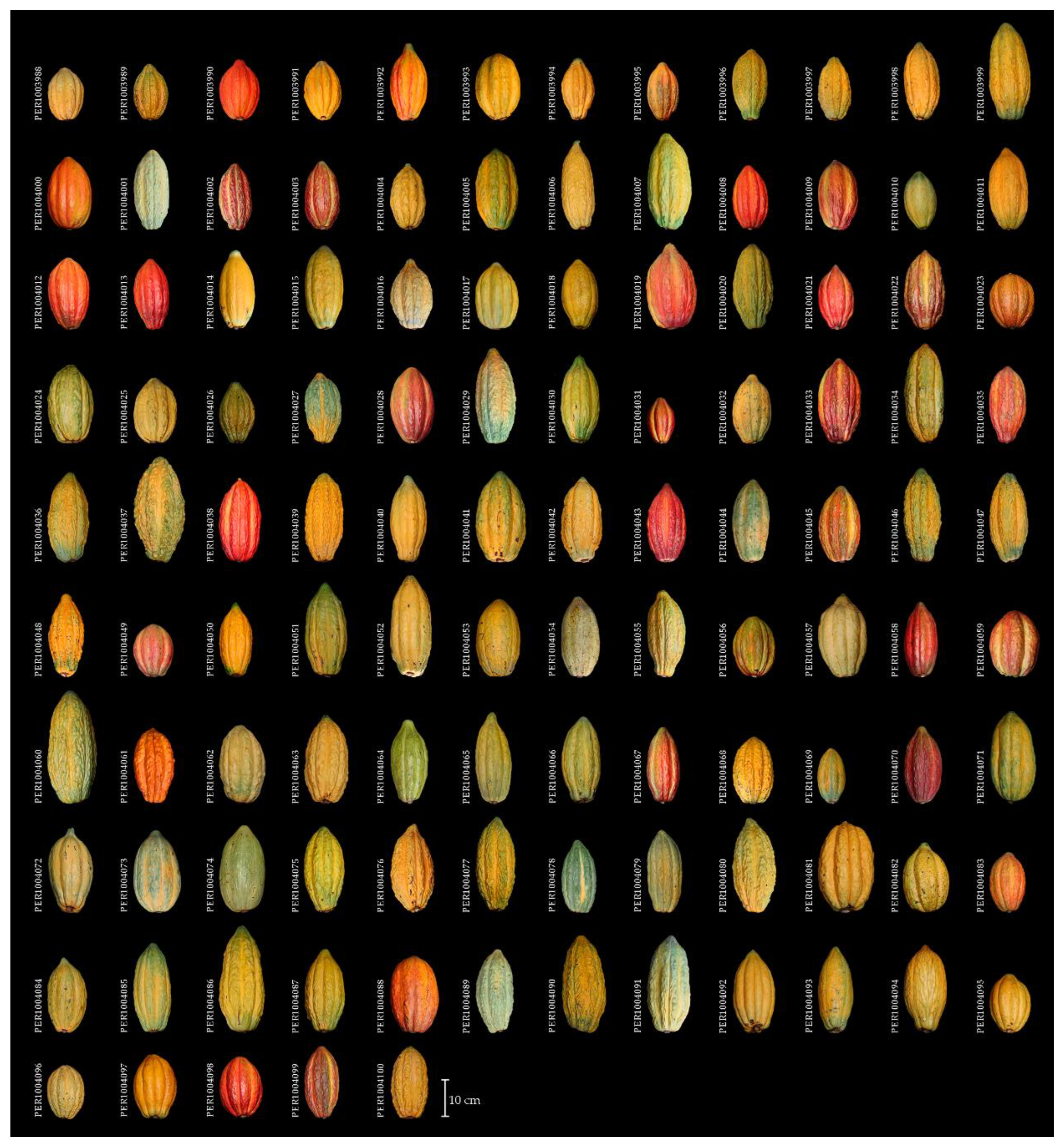 Preprints 177685 g006