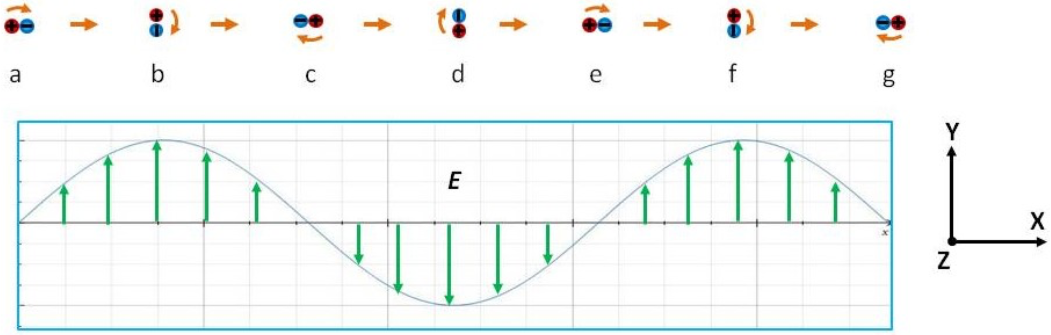 Preprints 121455 g003