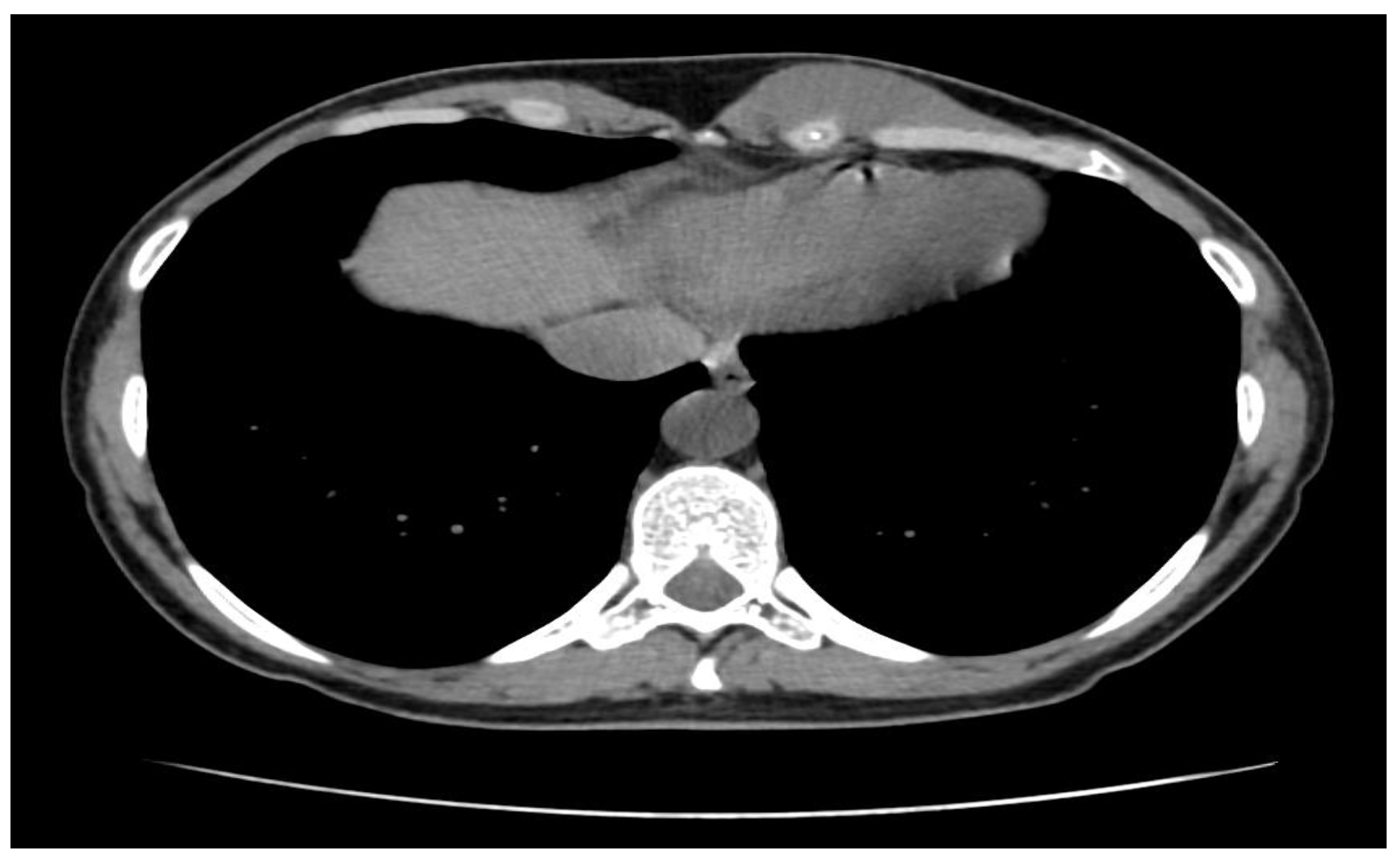 Preprints 149627 g001