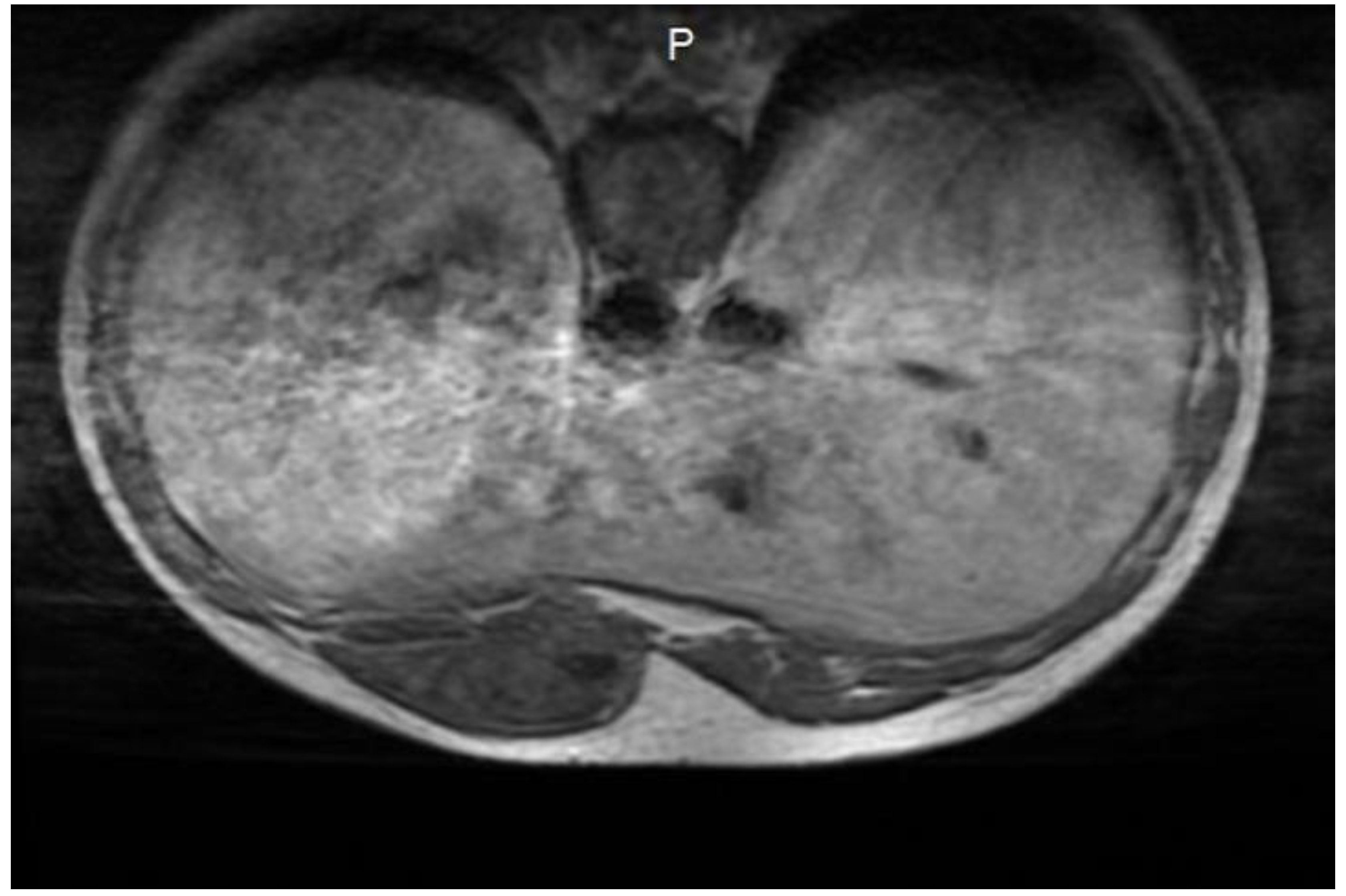 Preprints 149627 g004