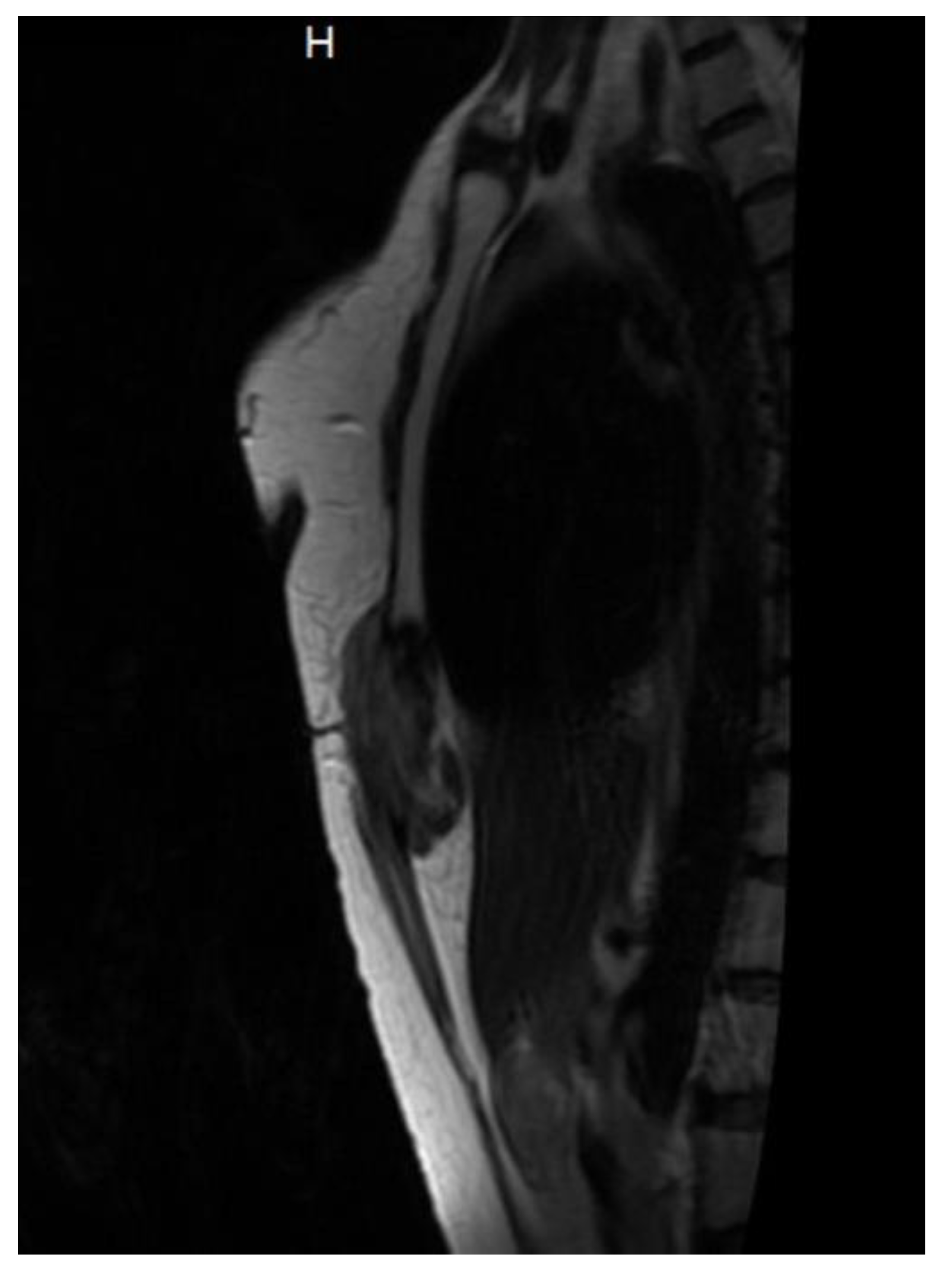 Preprints 149627 g005