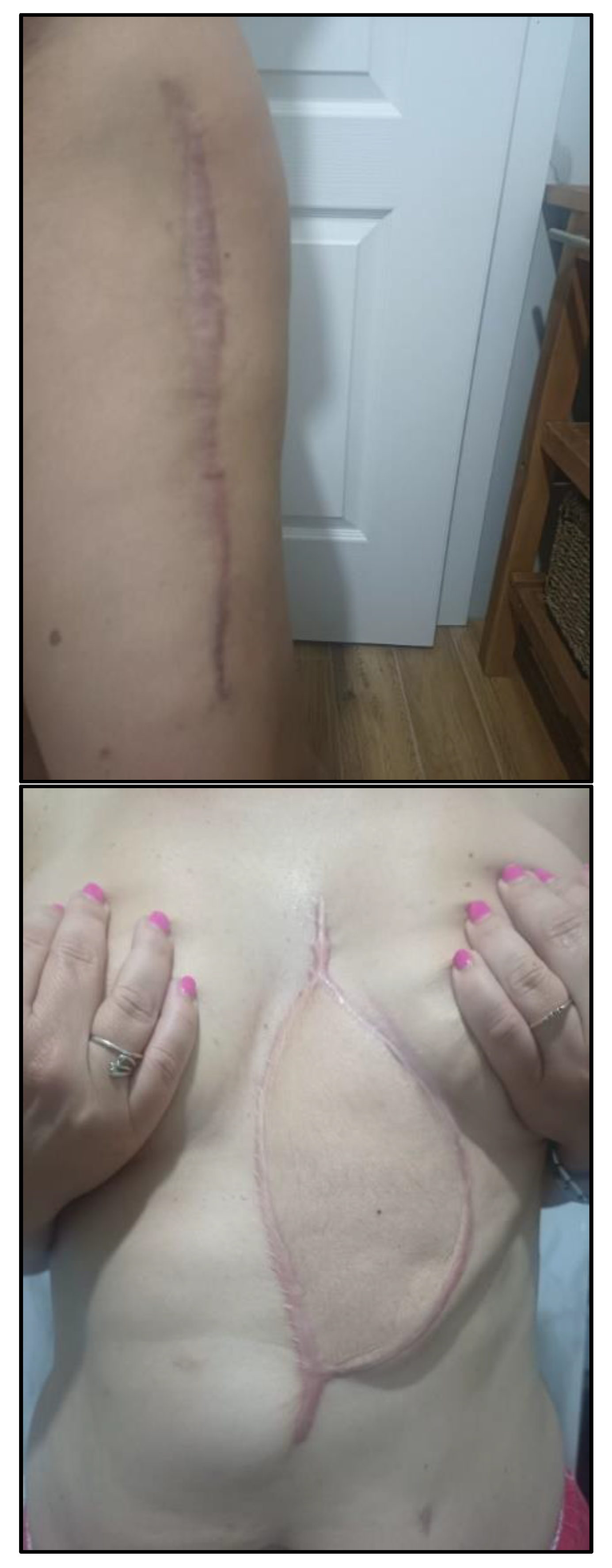 Preprints 149627 g006