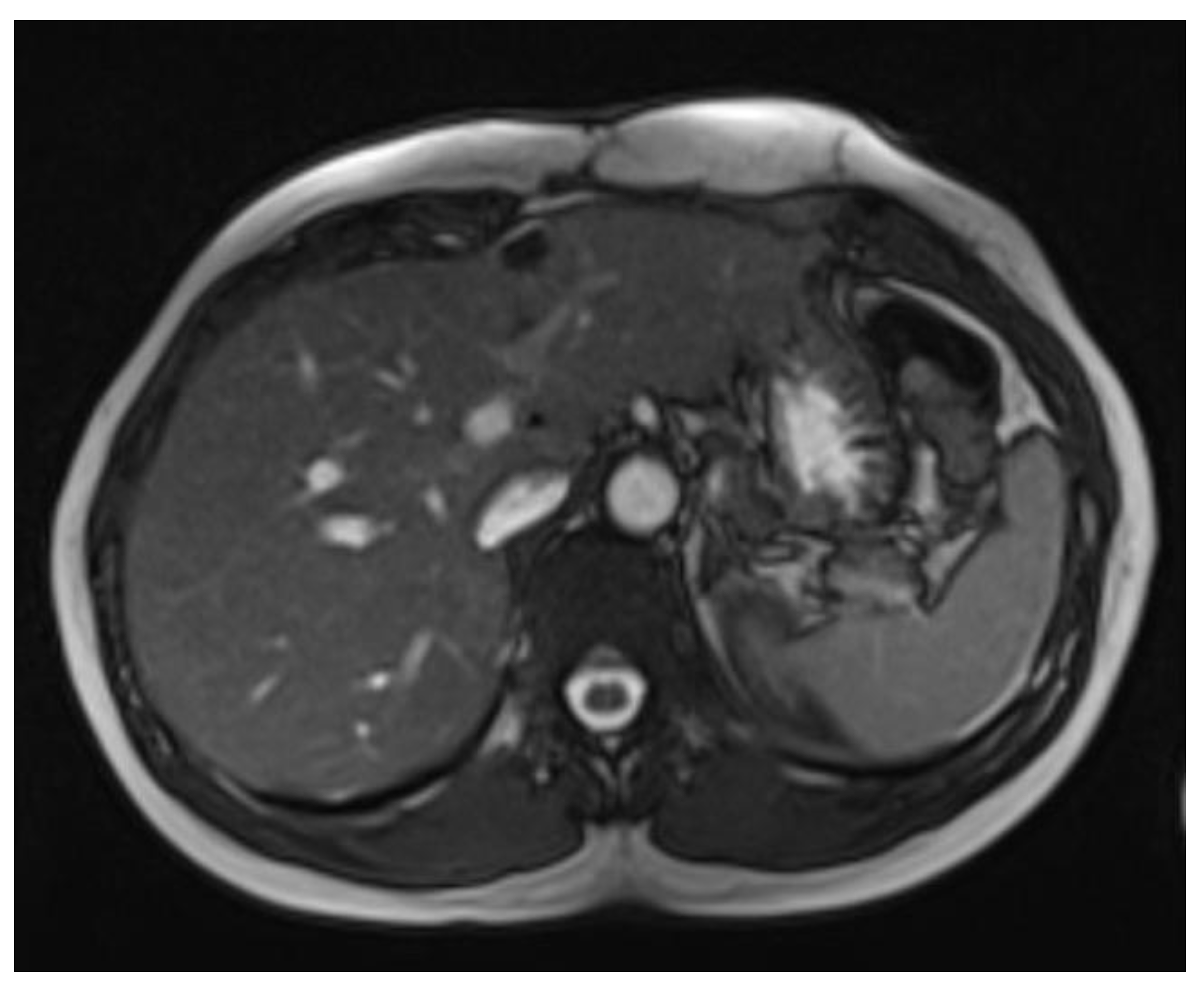 Preprints 149627 g007