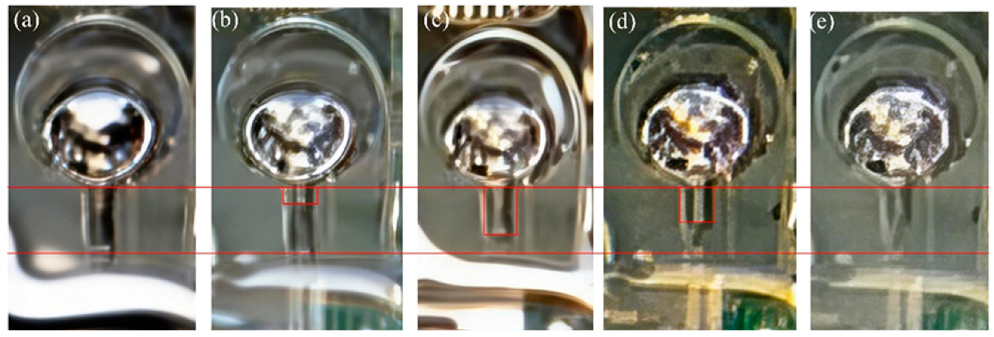 Preprints 195263 g009