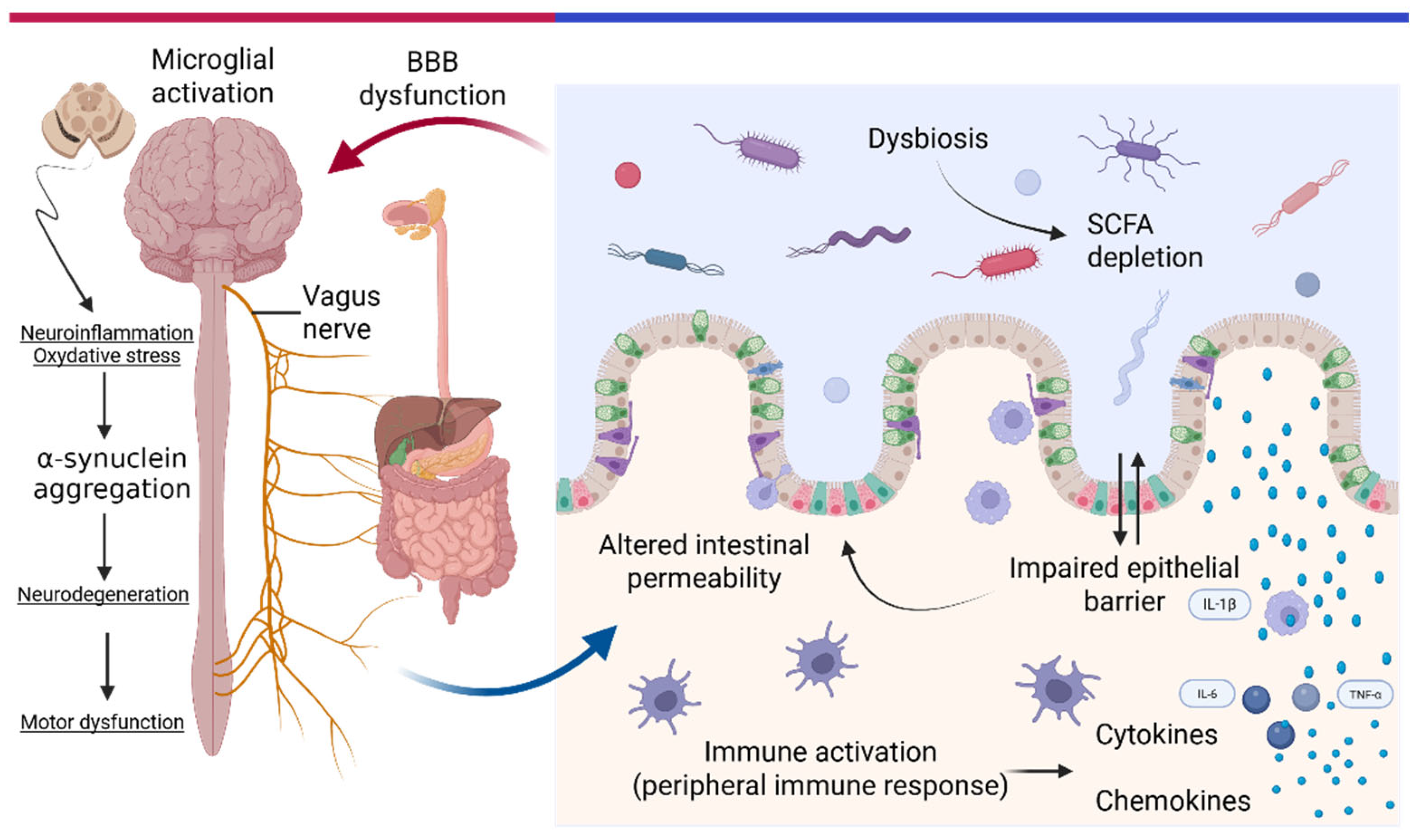Preprints 199230 g001
