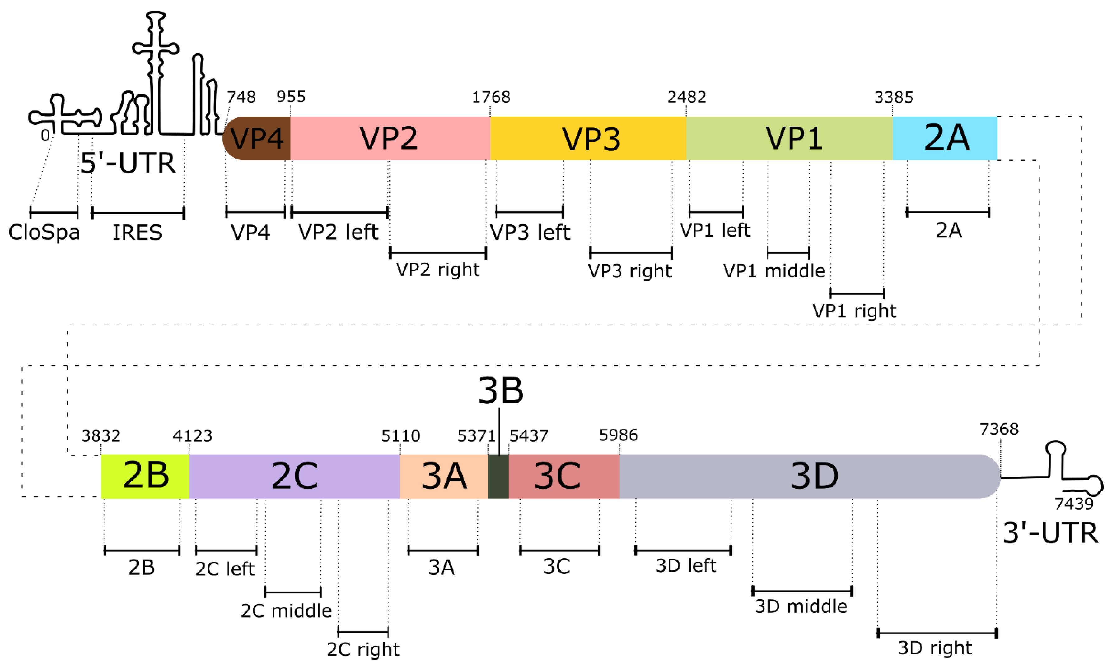 Preprints 163128 g001