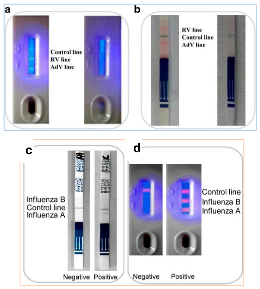 Preprints 234748 g007 Preprints 234748 g007