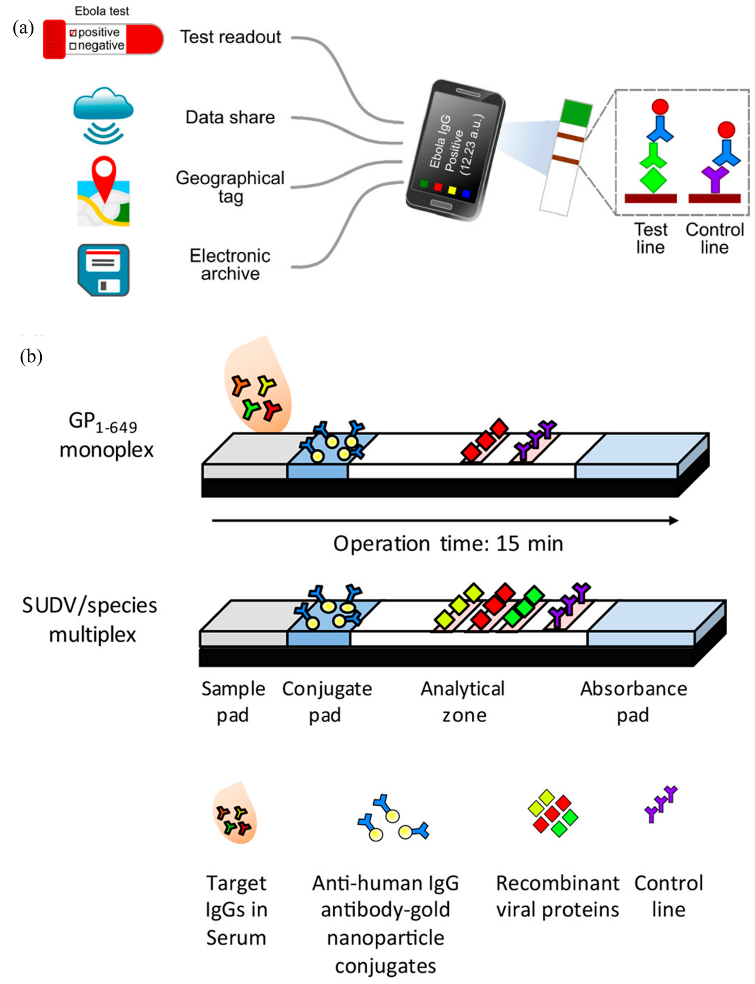 Preprints 234748 g016 Preprints 234748 g016