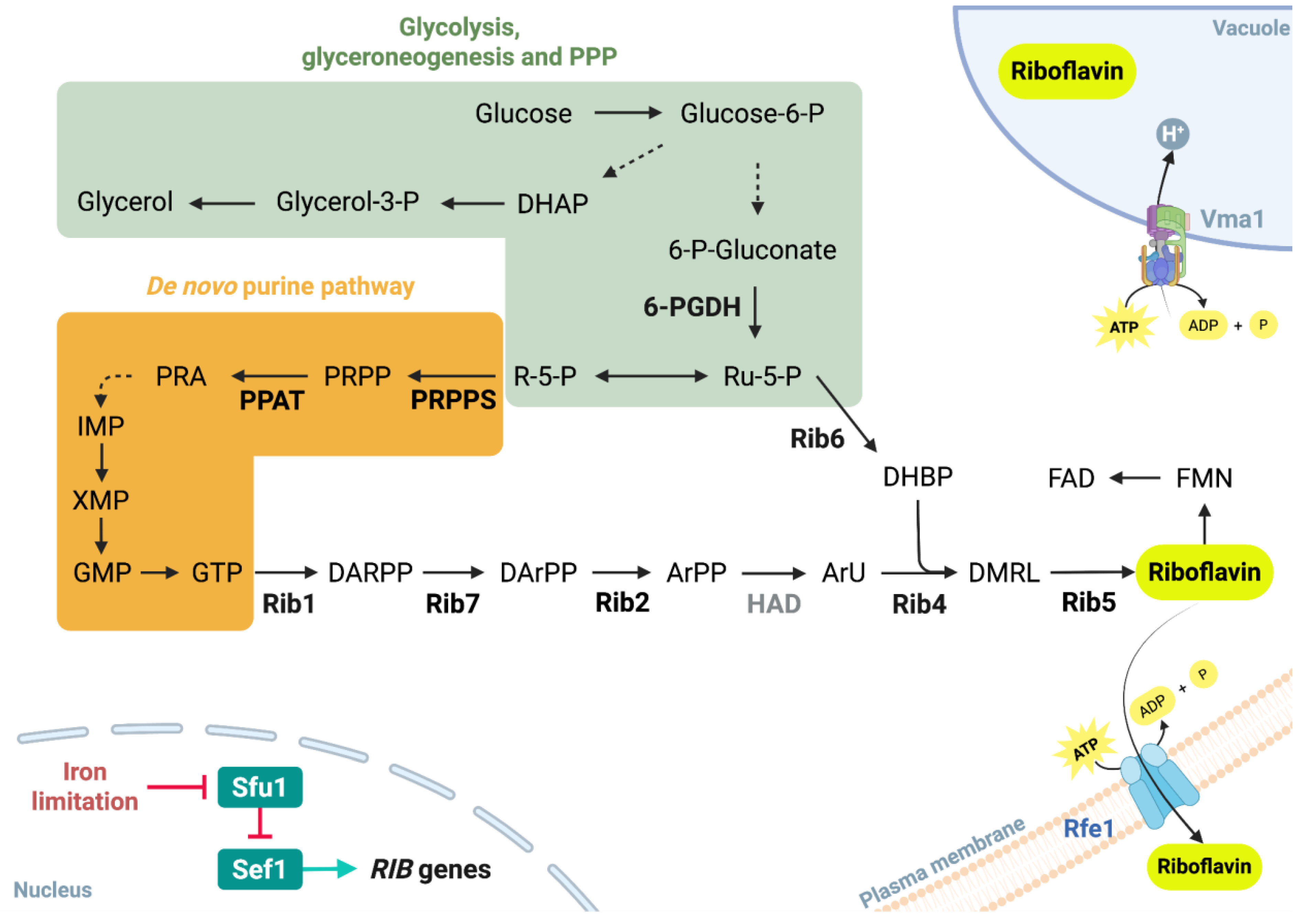 Preprints 176225 g001