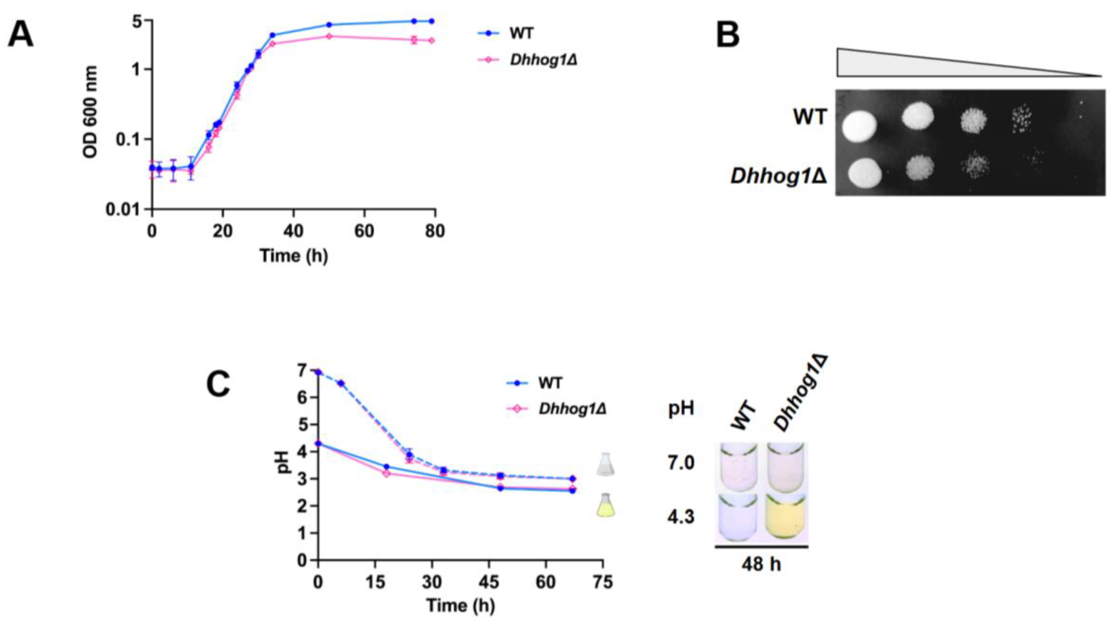 Preprints 176225 g002