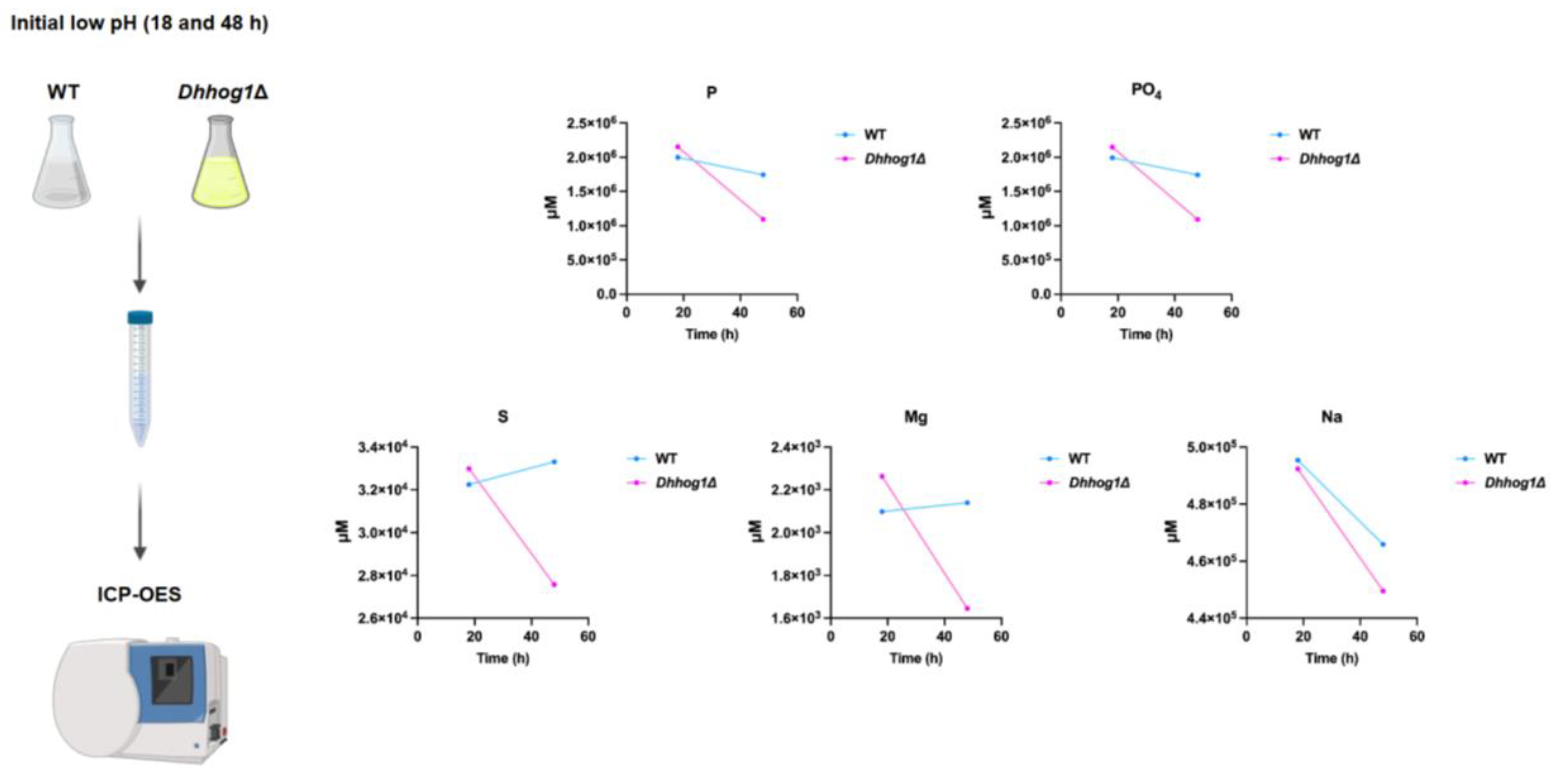 Preprints 176225 g005