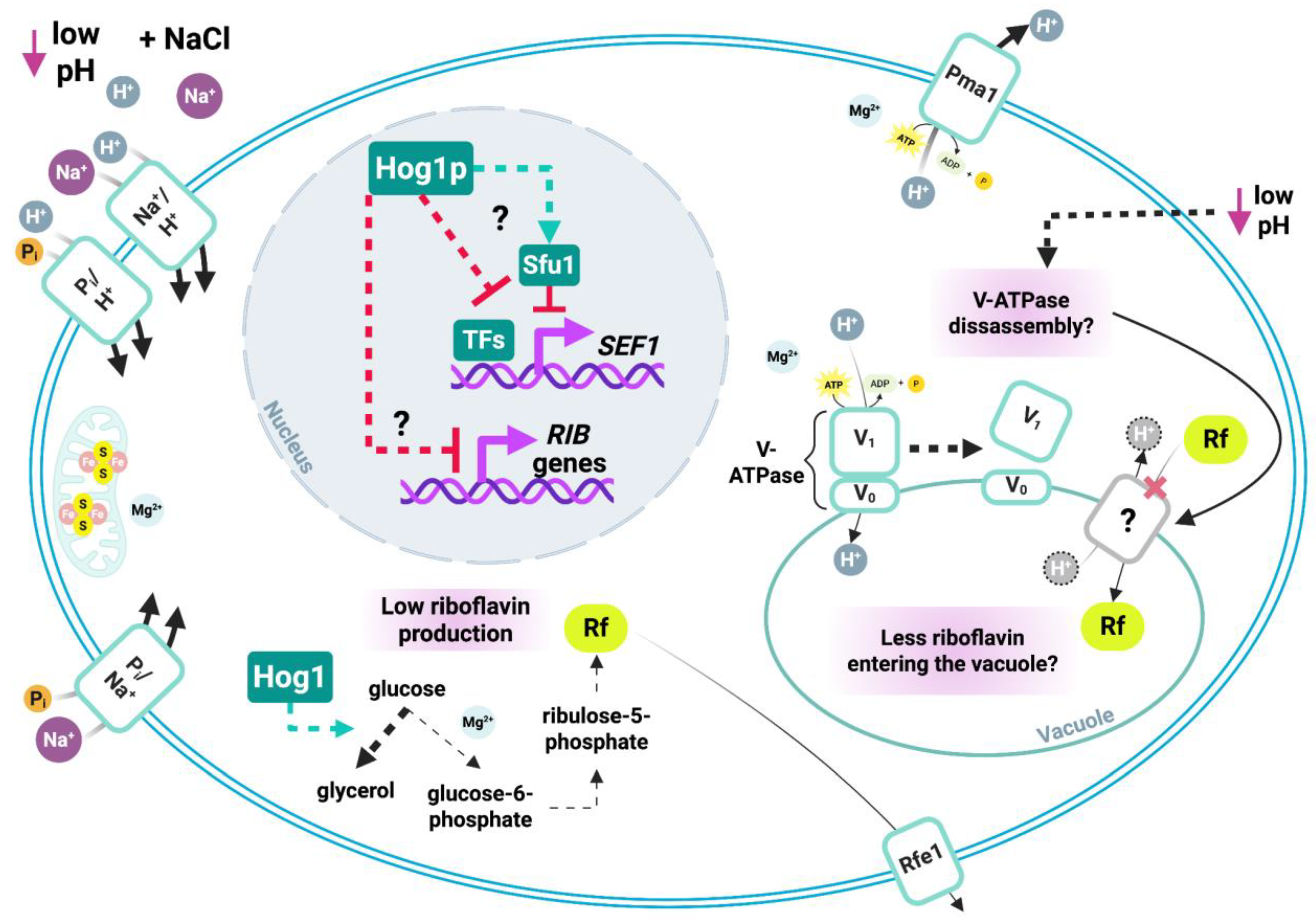 Preprints 176225 g007