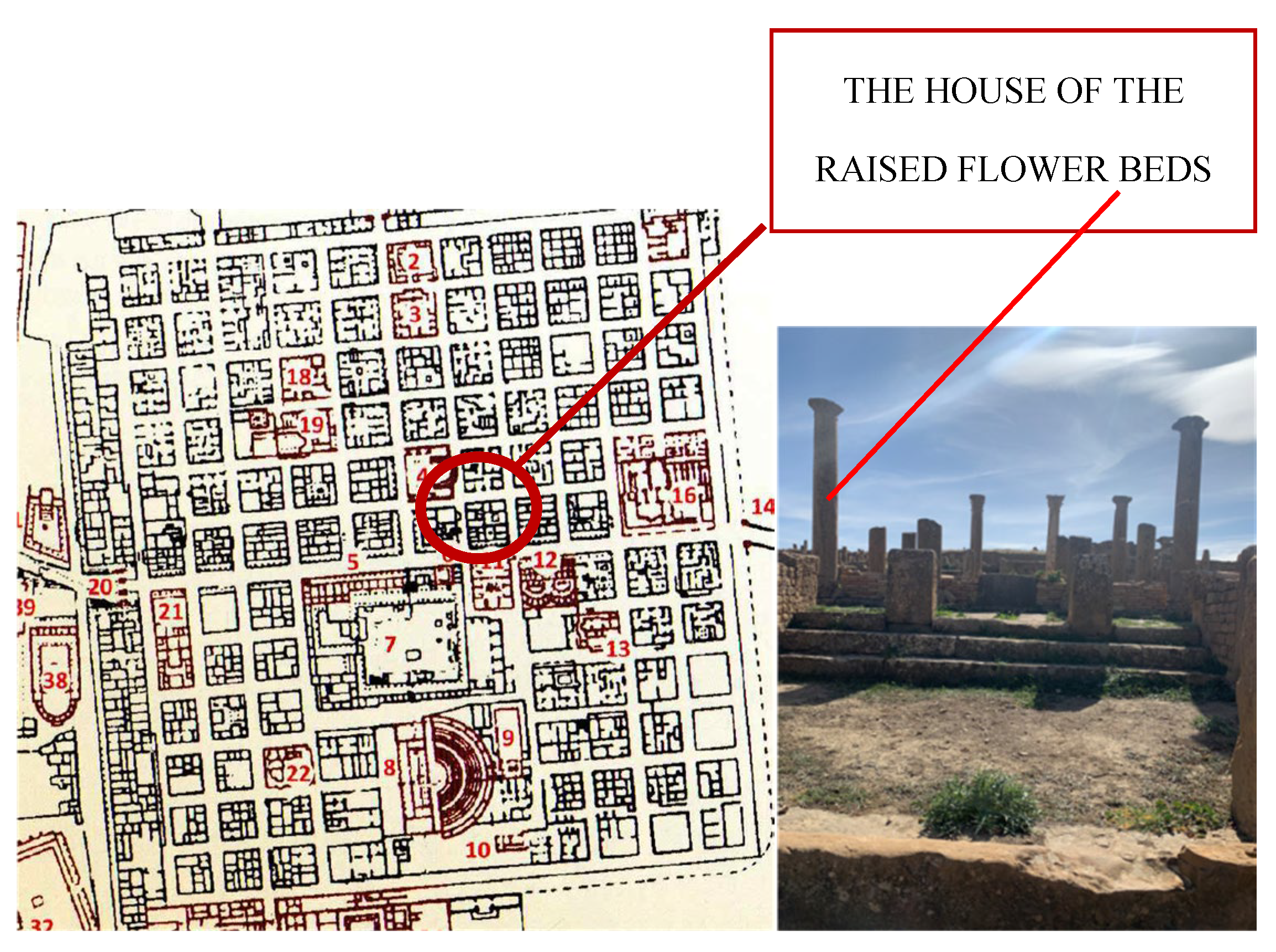 Preprints 179483 g006