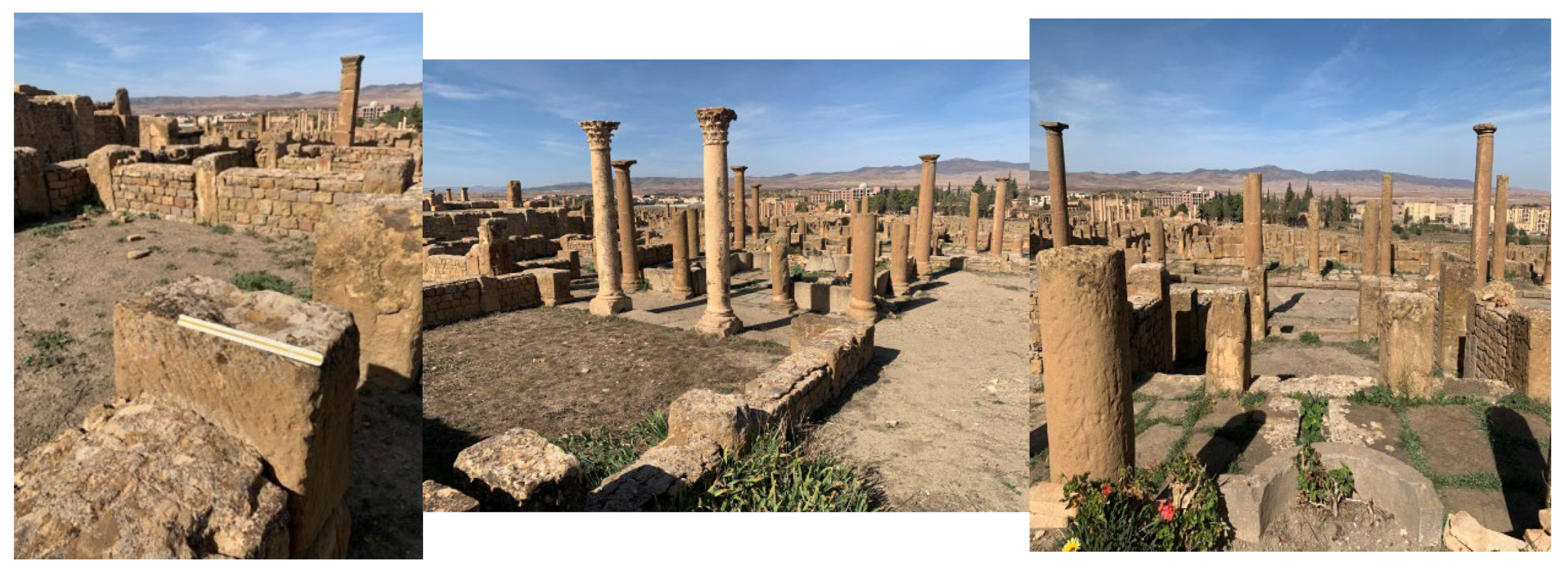 Preprints 179483 g012