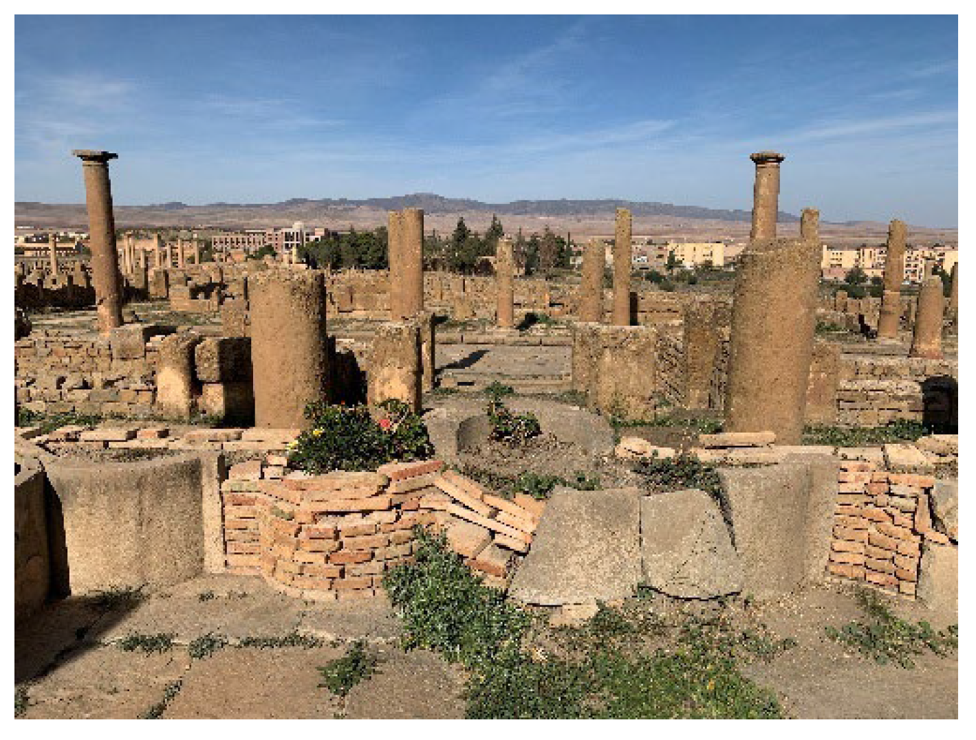 Preprints 179483 g019