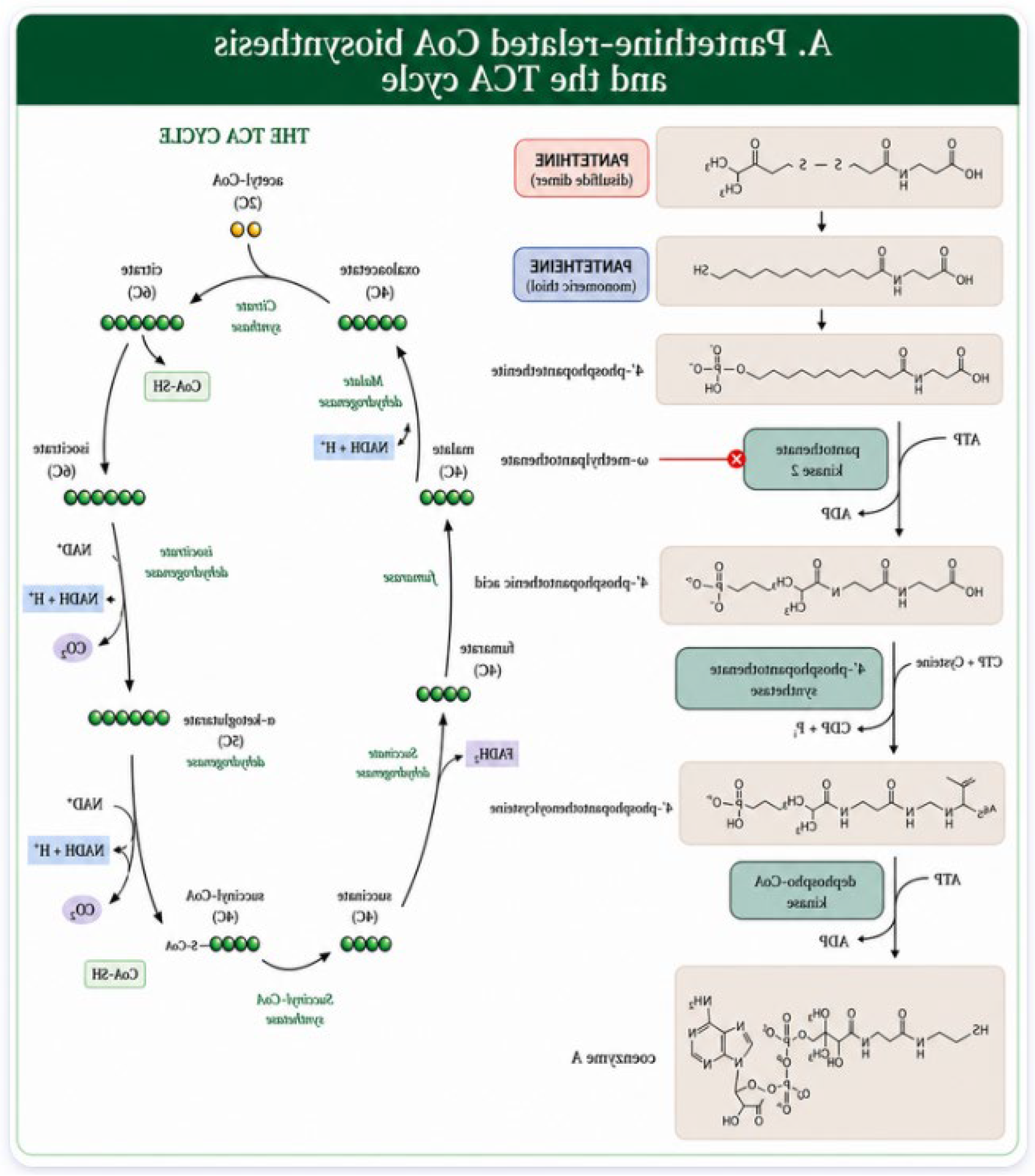Preprints 225186 g001a