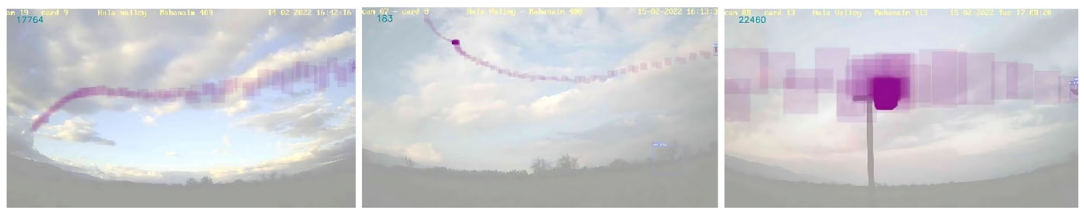 Preprints 166516 g003