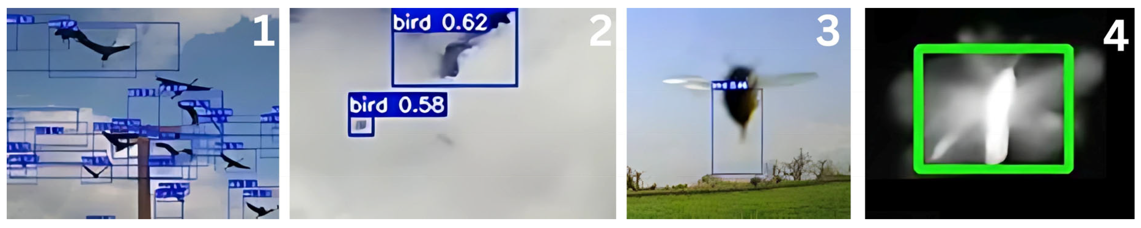 Preprints 166516 g004