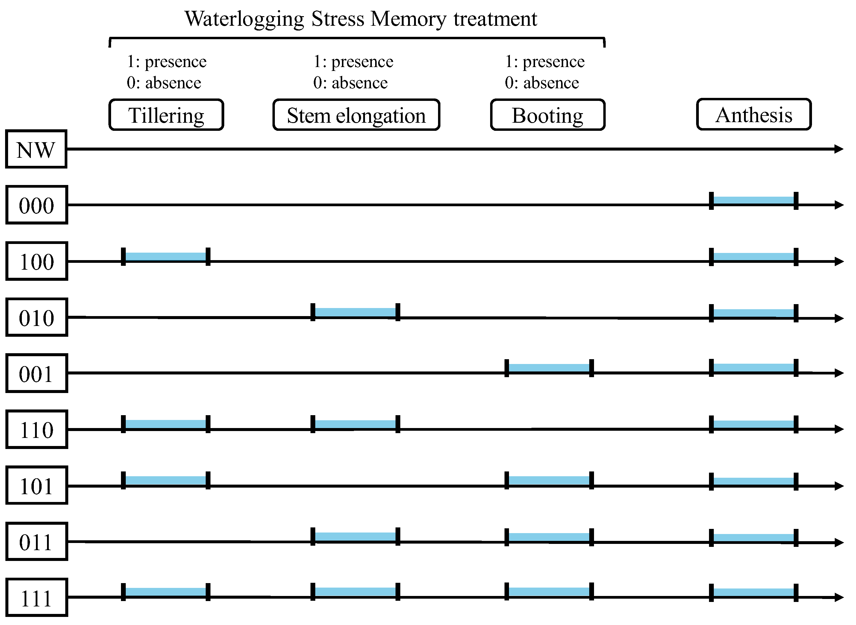 Preprints 192594 g001