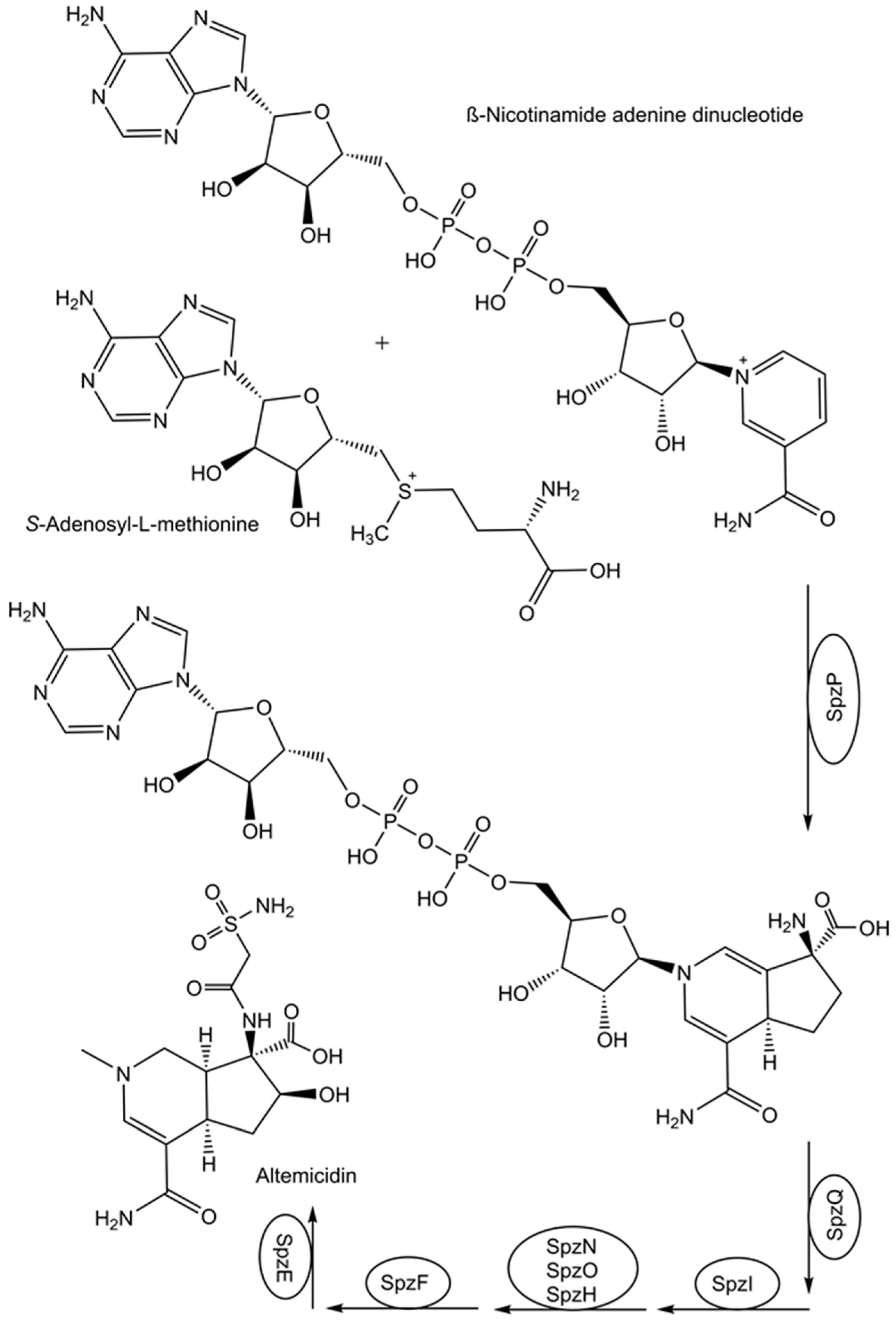 Preprints 97383 g002