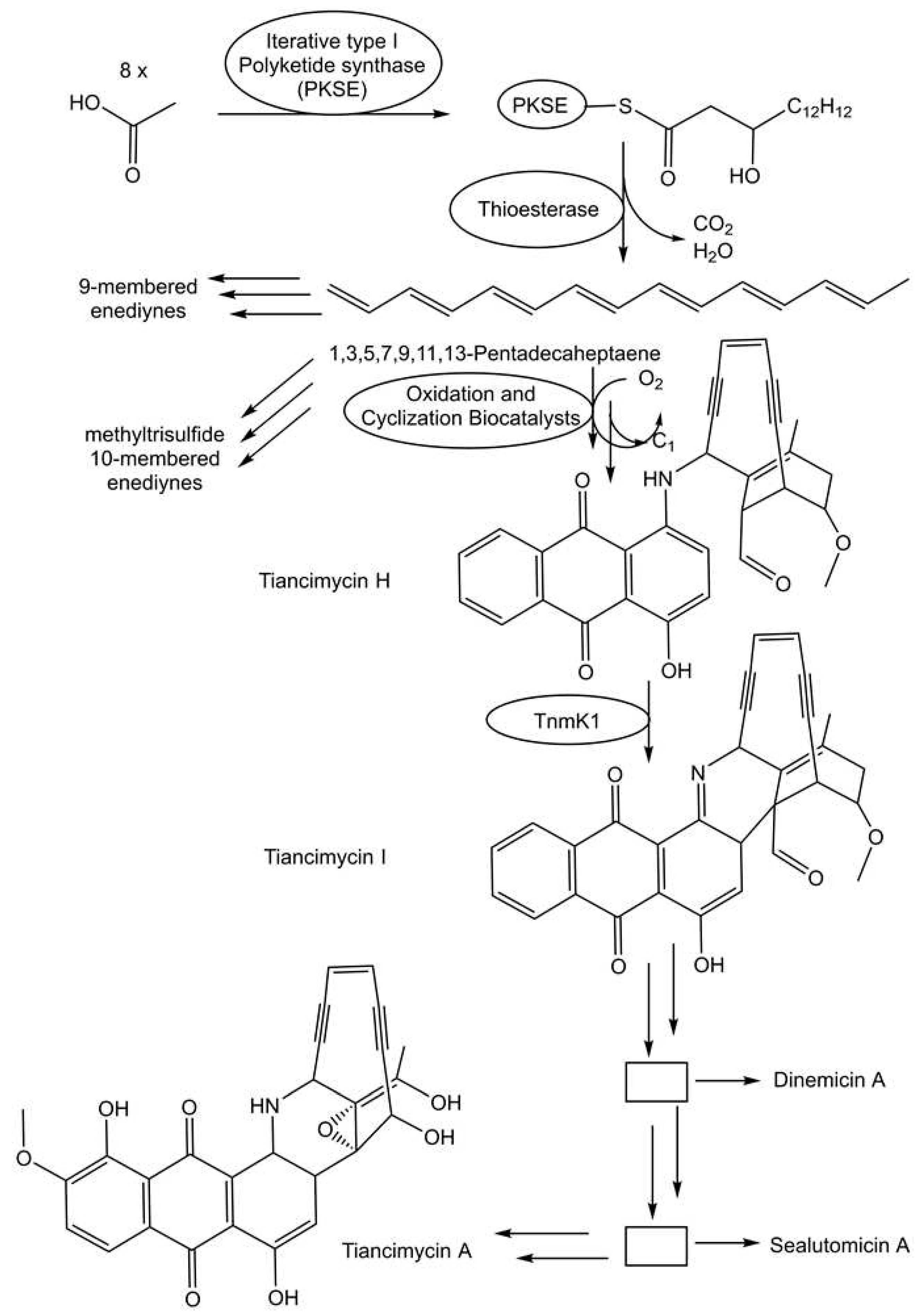 Preprints 97383 g003