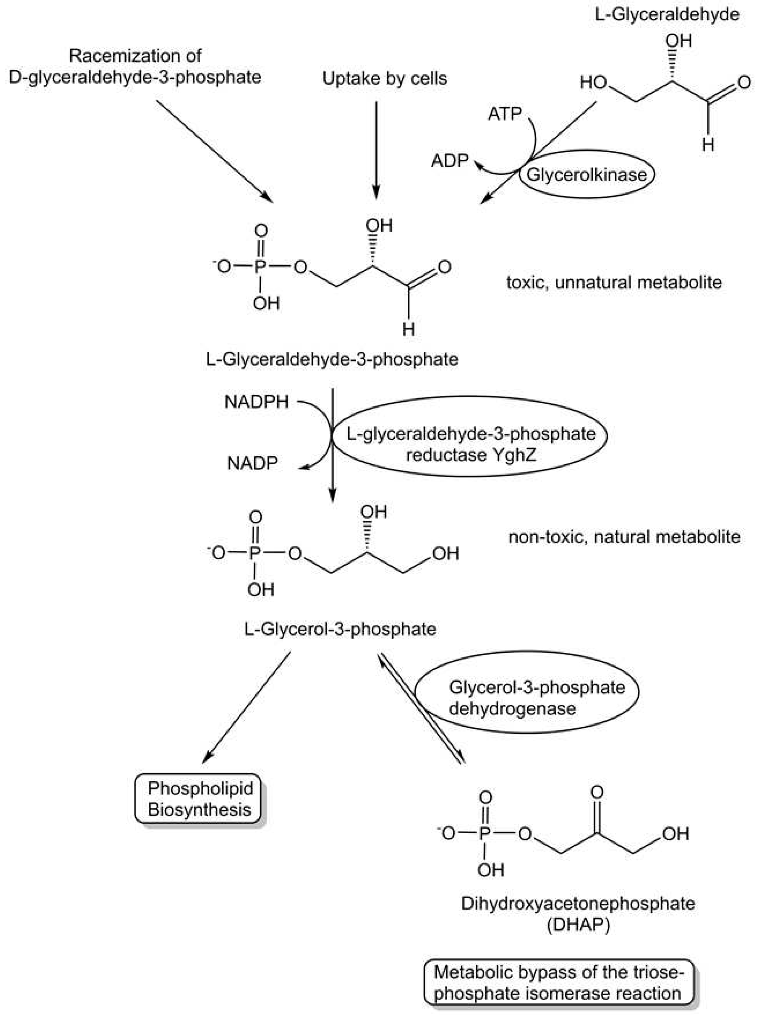 Preprints 97383 g005