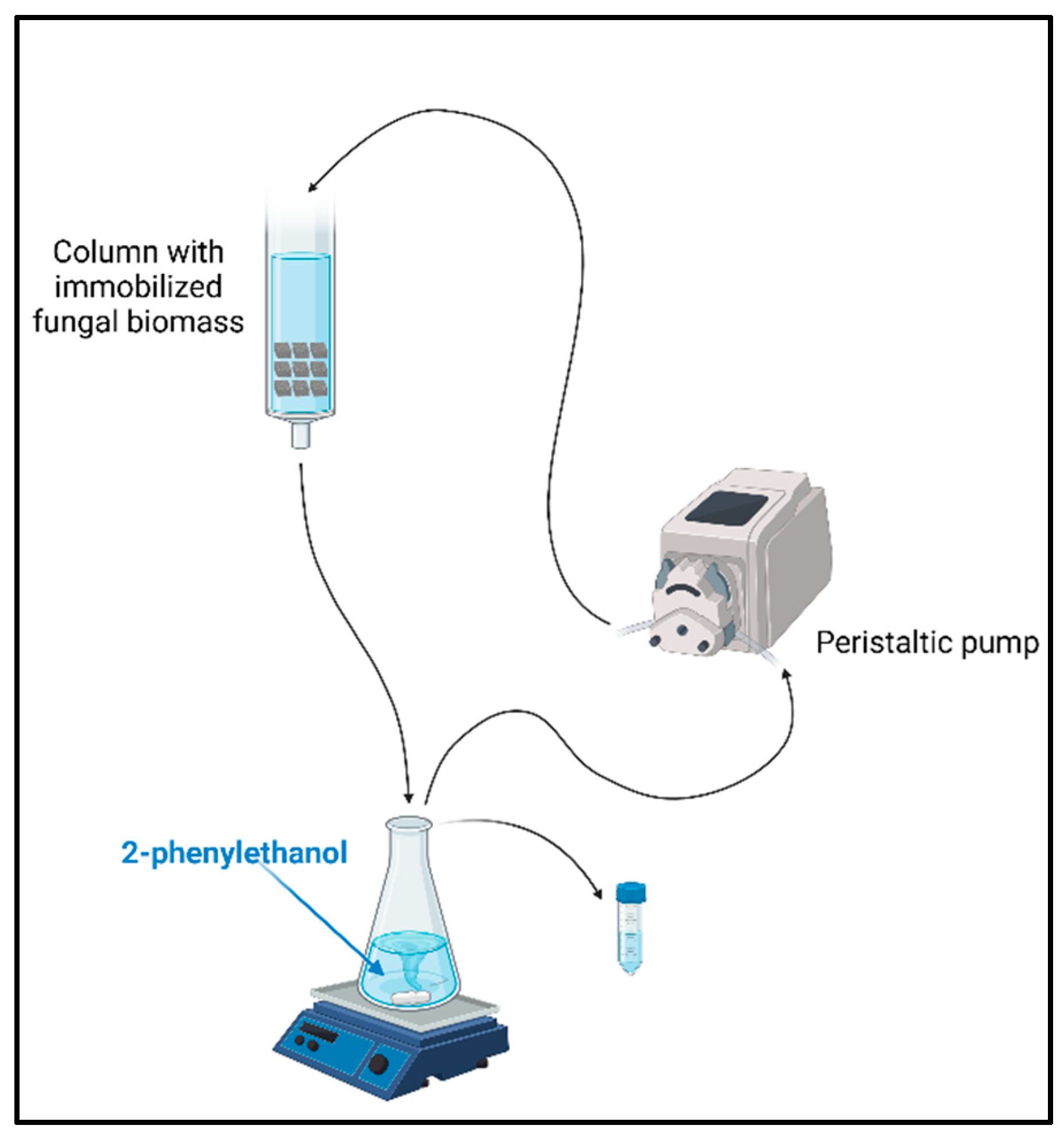 Preprints 141955 g002