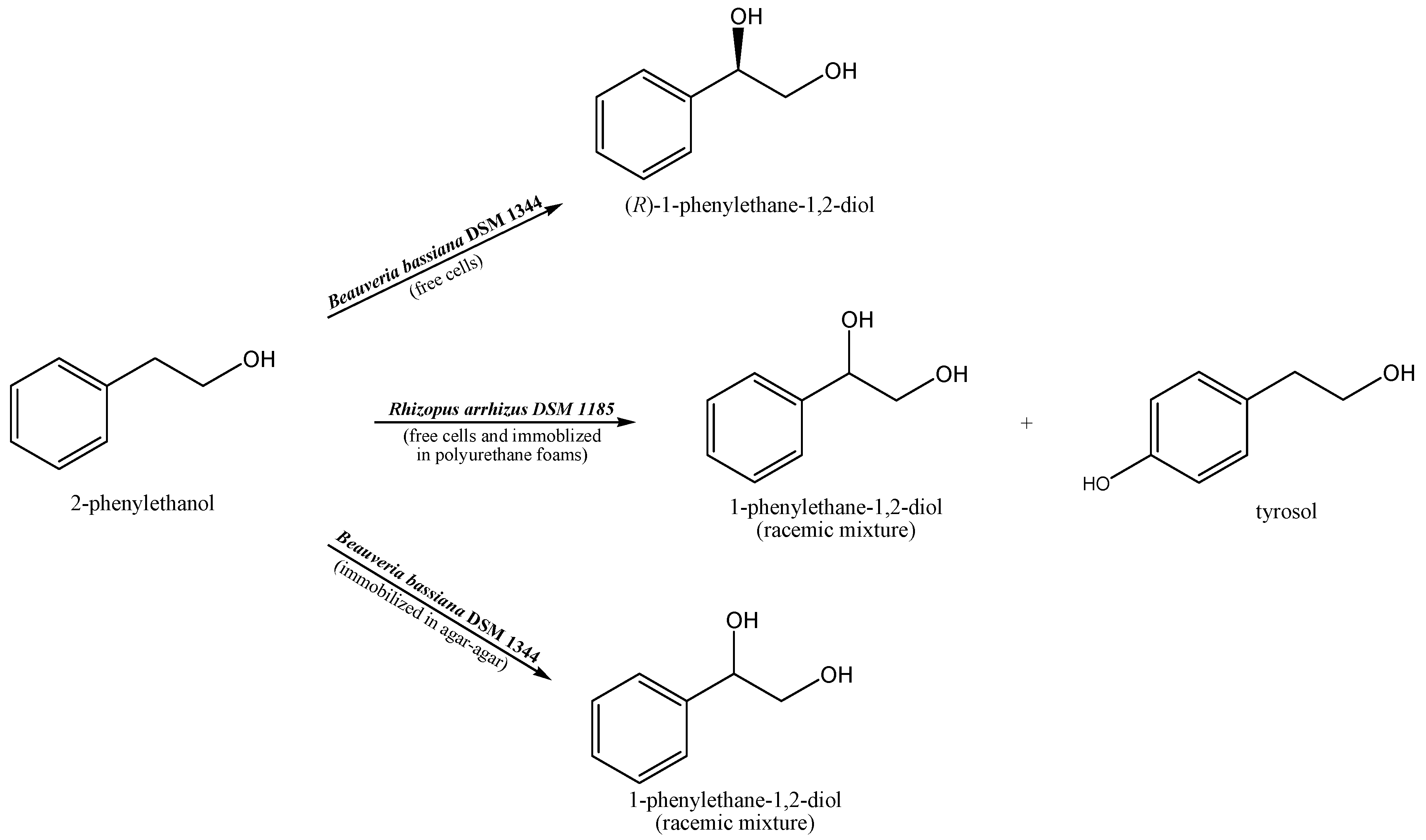 Preprints 141955 sch001