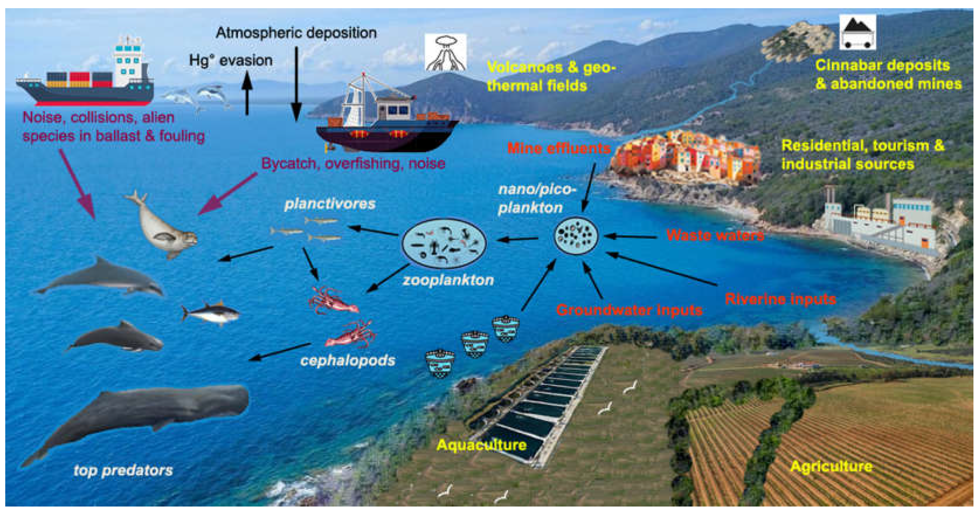Preprints 112698 g001