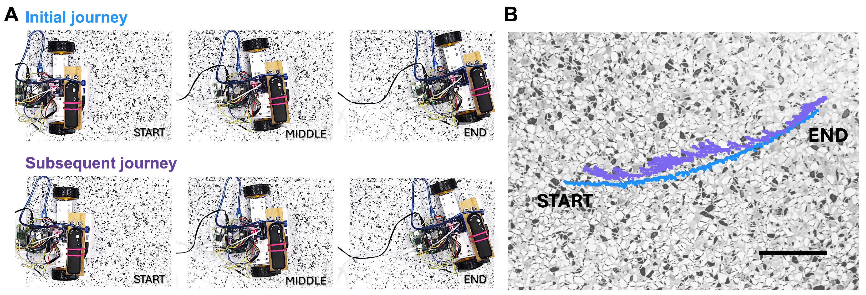 Preprints 235630 g010