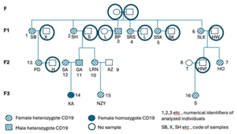Preprints 219603 g001 Preprints 219603 g001